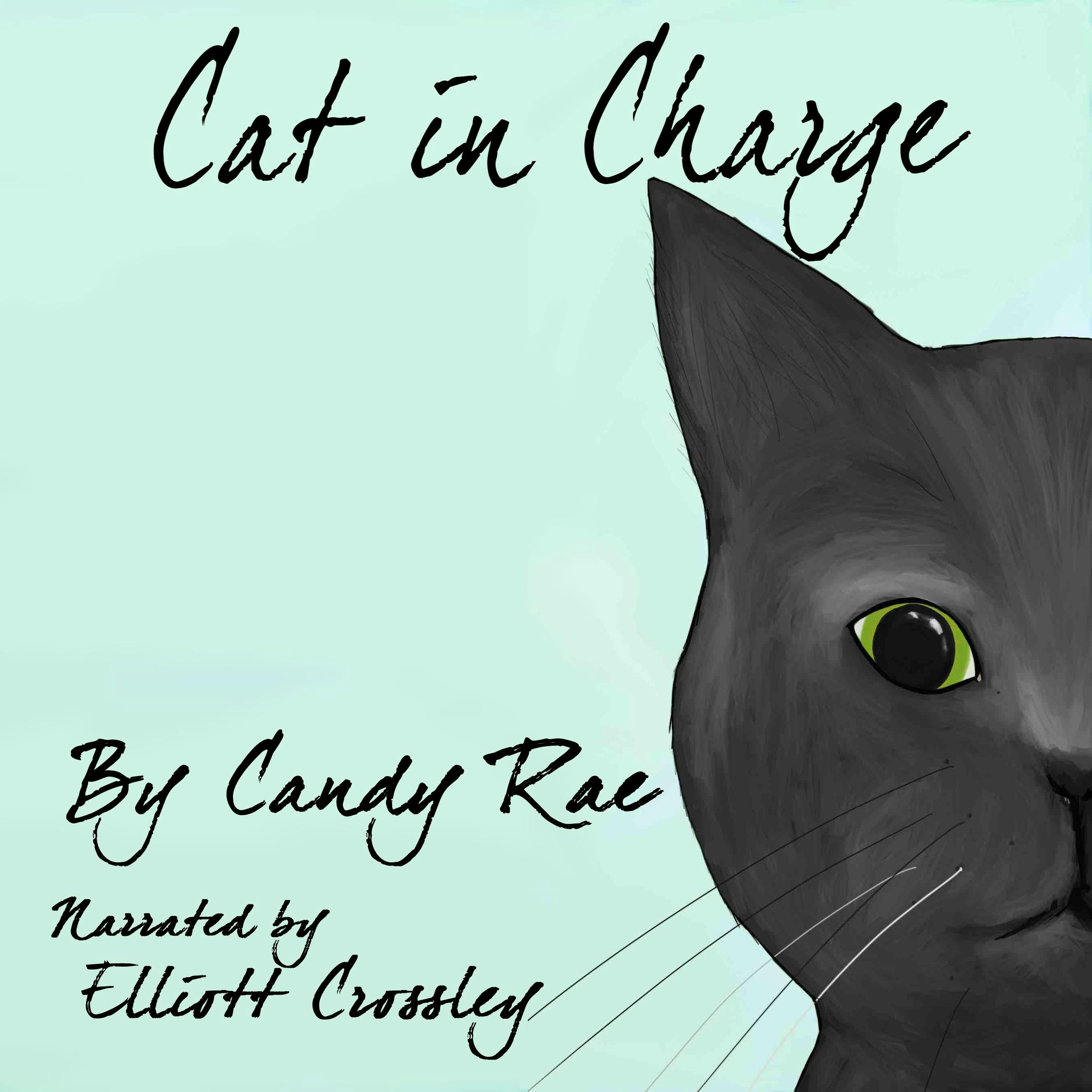 Cat in Charge: Sammy the Cat - Candy Rae