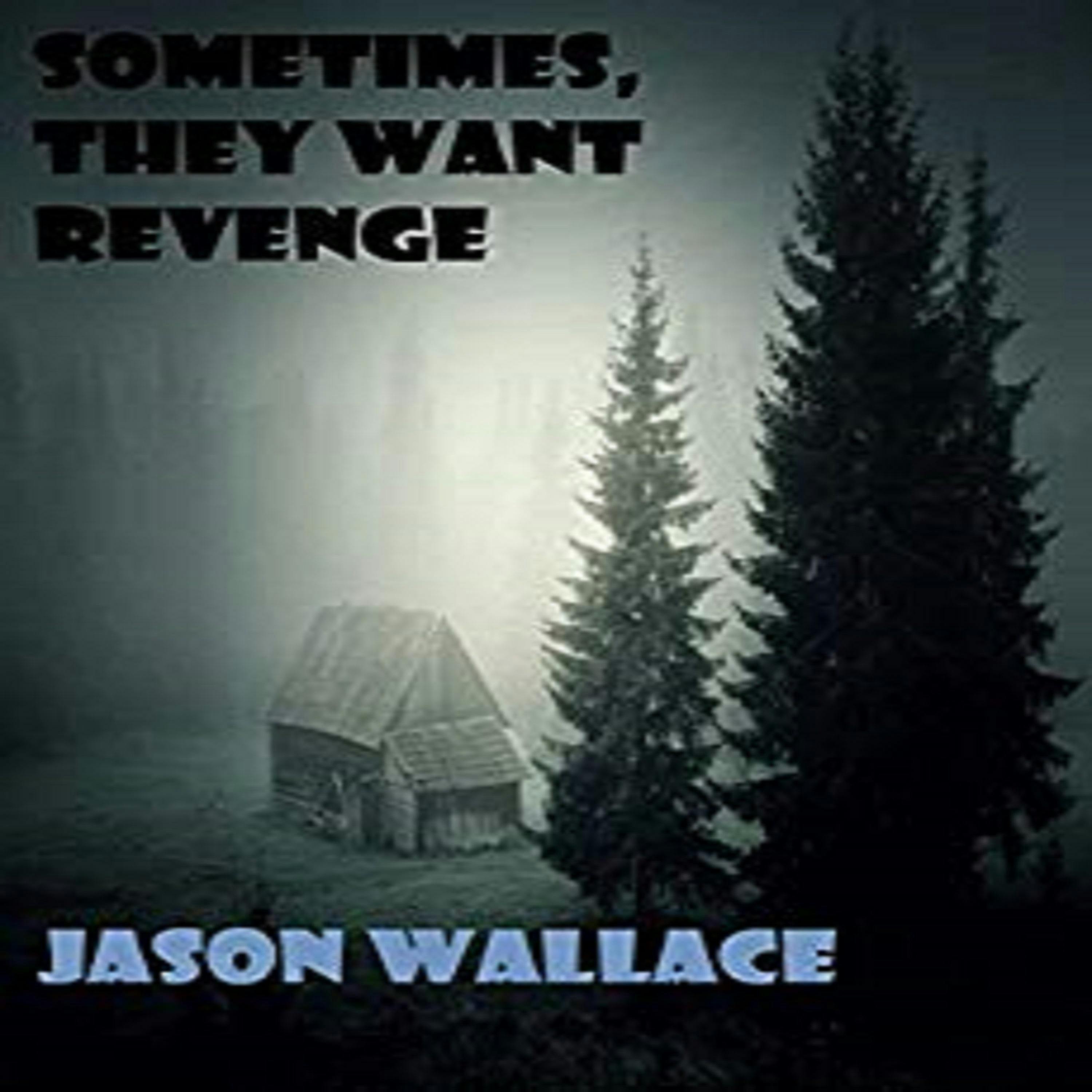 Sometimes, They Want Revenge - Jason Wallace