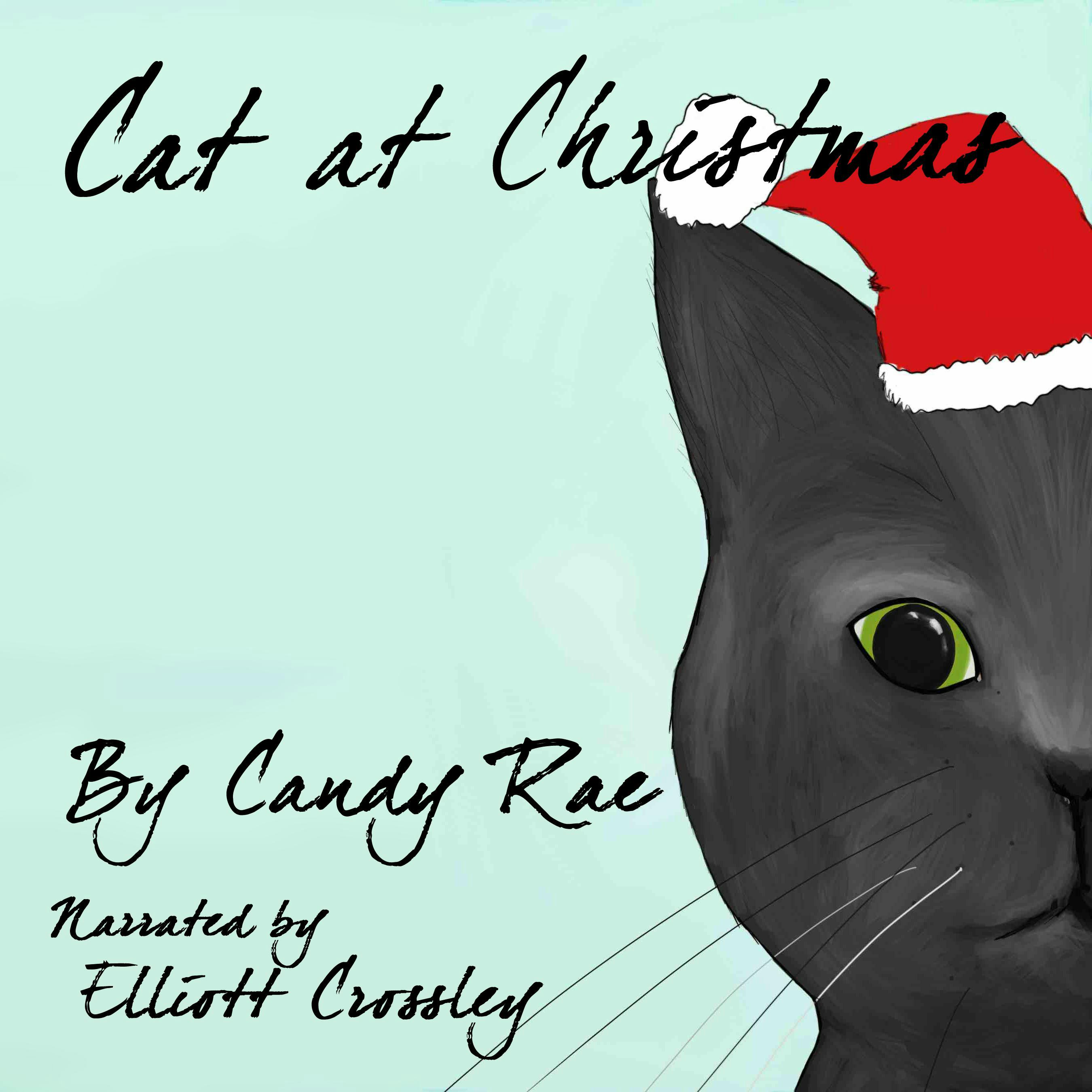 Cat at Christmas: Sammy the Cat - Candy Rae
