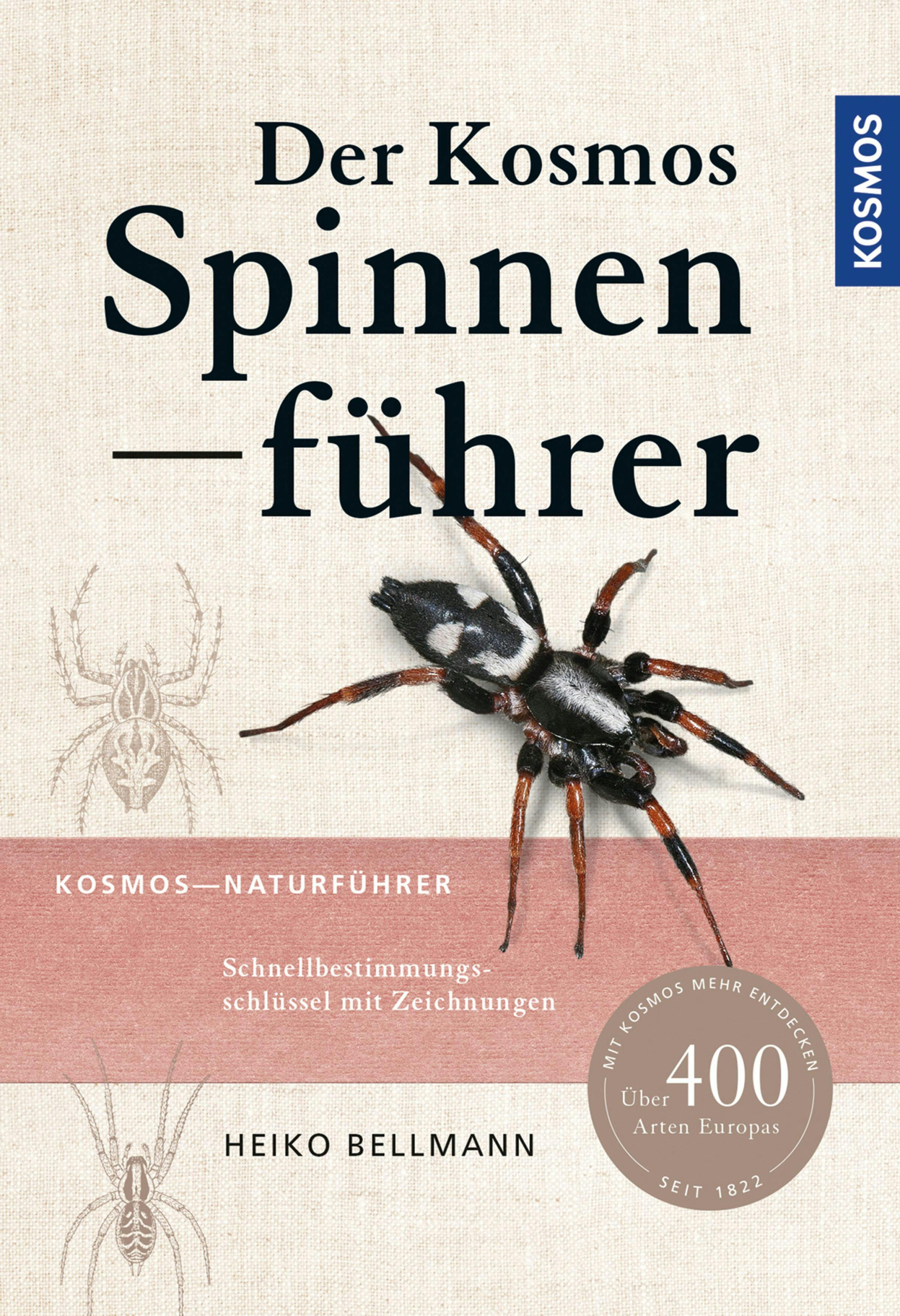 Der Kosmos Spinnenführer - Heiko Bellmann
