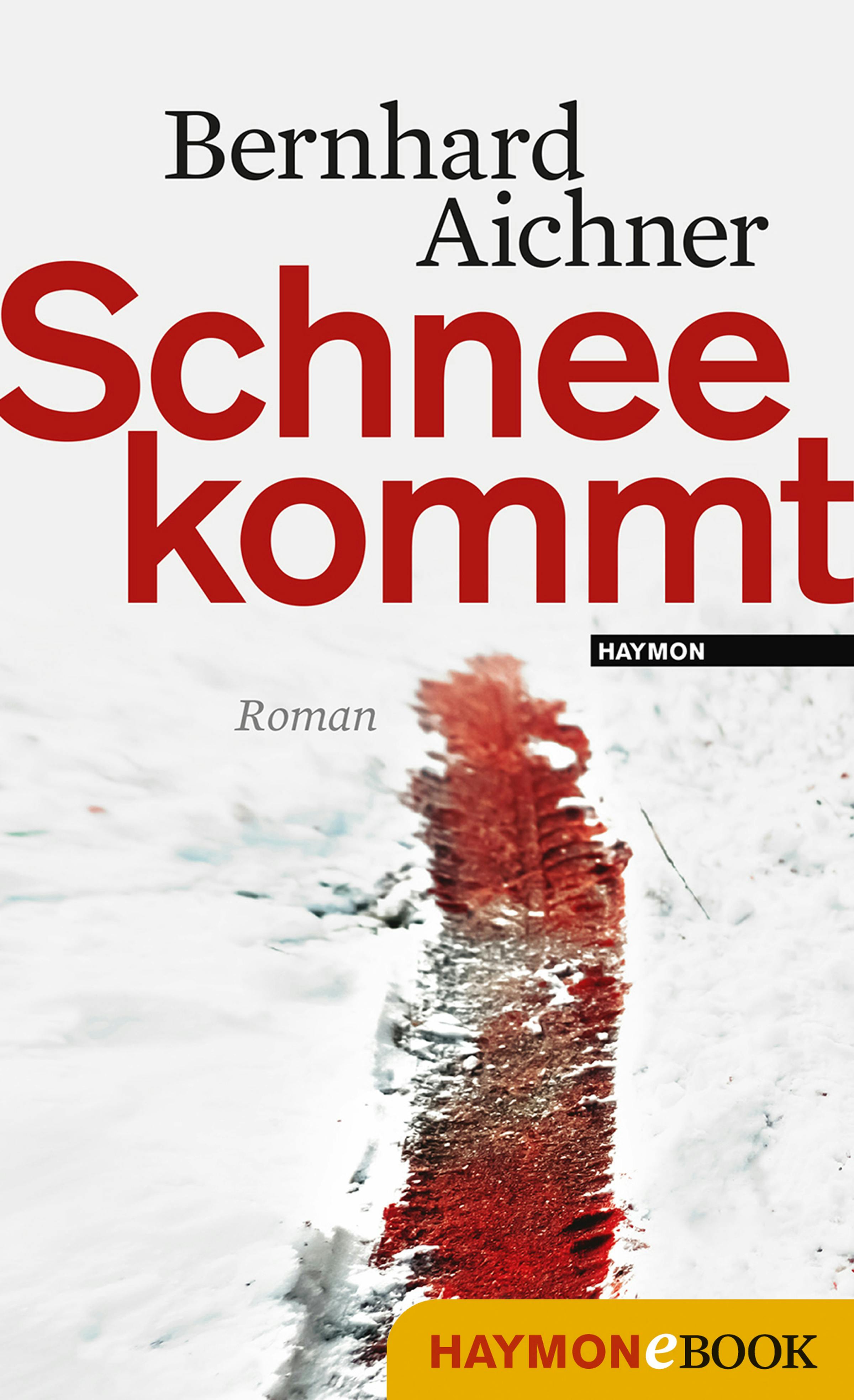 Schnee kommt: Roman - Bernhard Aichner