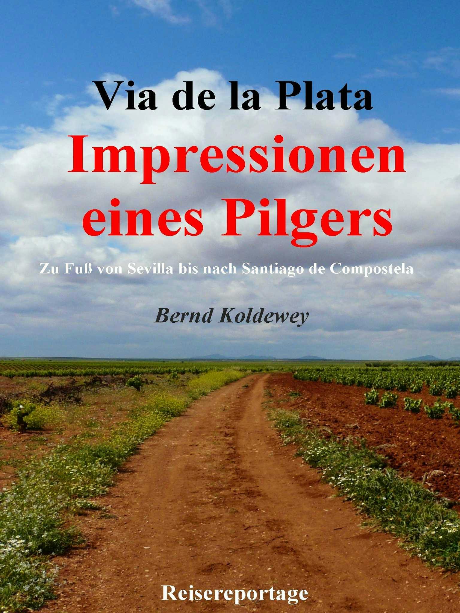 Via de la Plata – Impressionen eines Pilgers - Bernd Koldewey