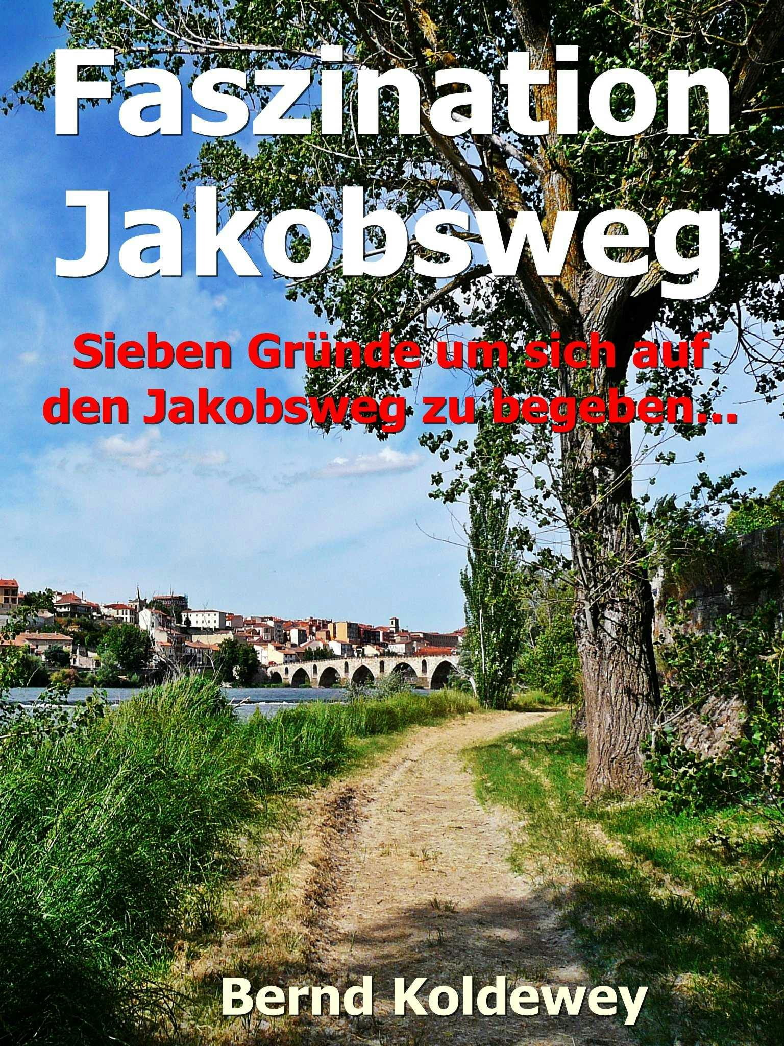Faszination Jakobsweg - Bernd Koldewey