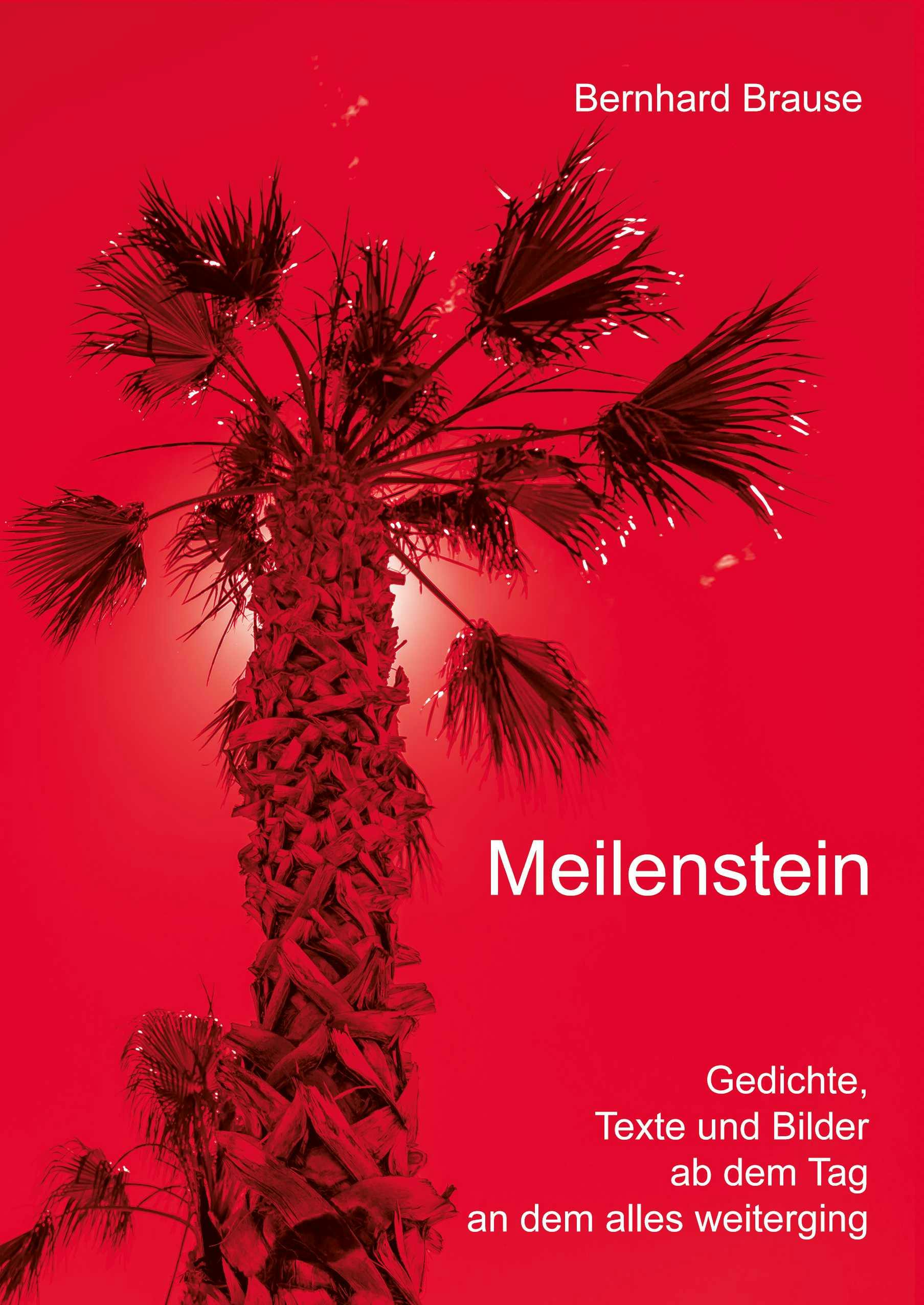 Meilenstein - Bernhard Brause