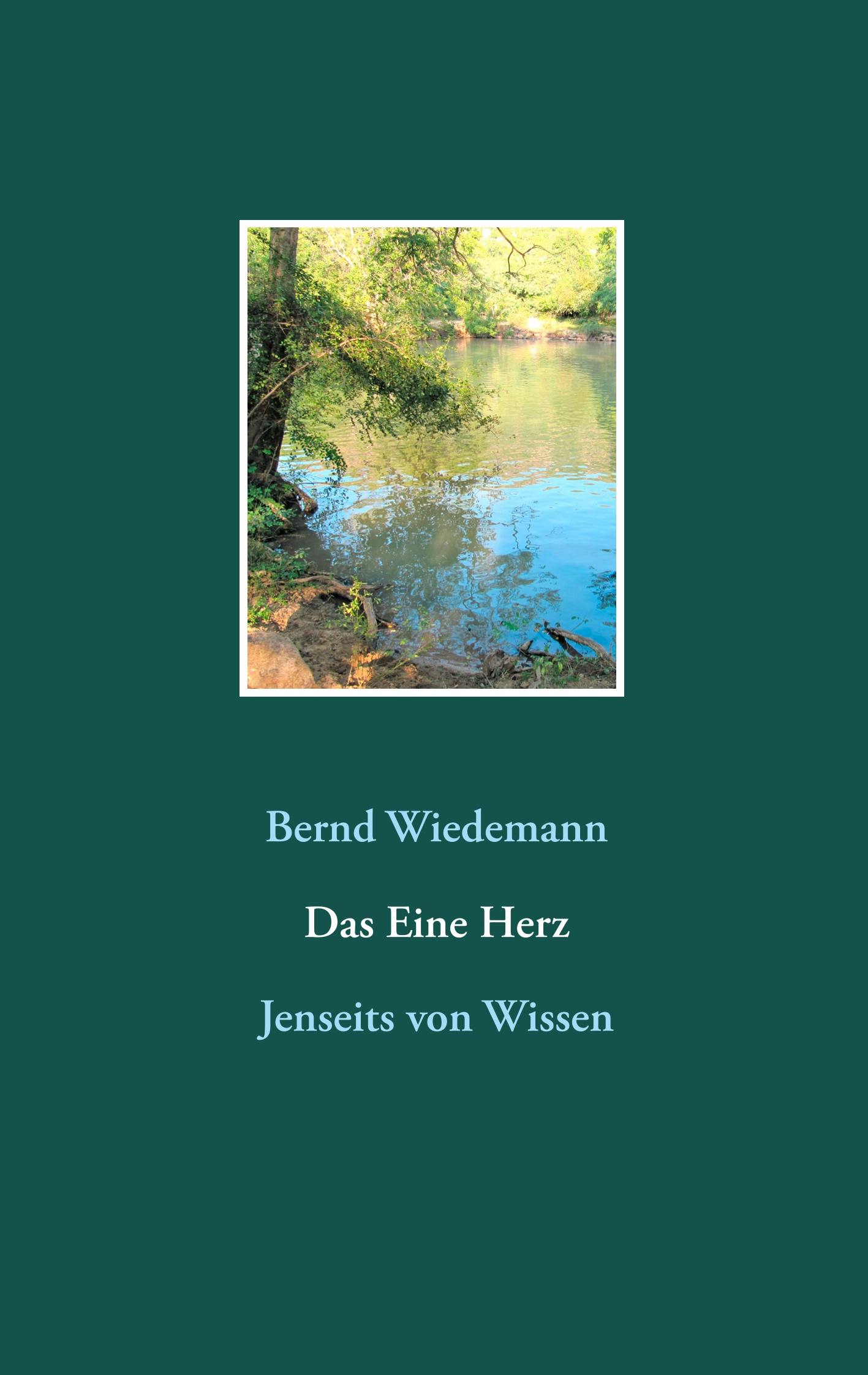Das Eine Herz - Bernd Wiedemann