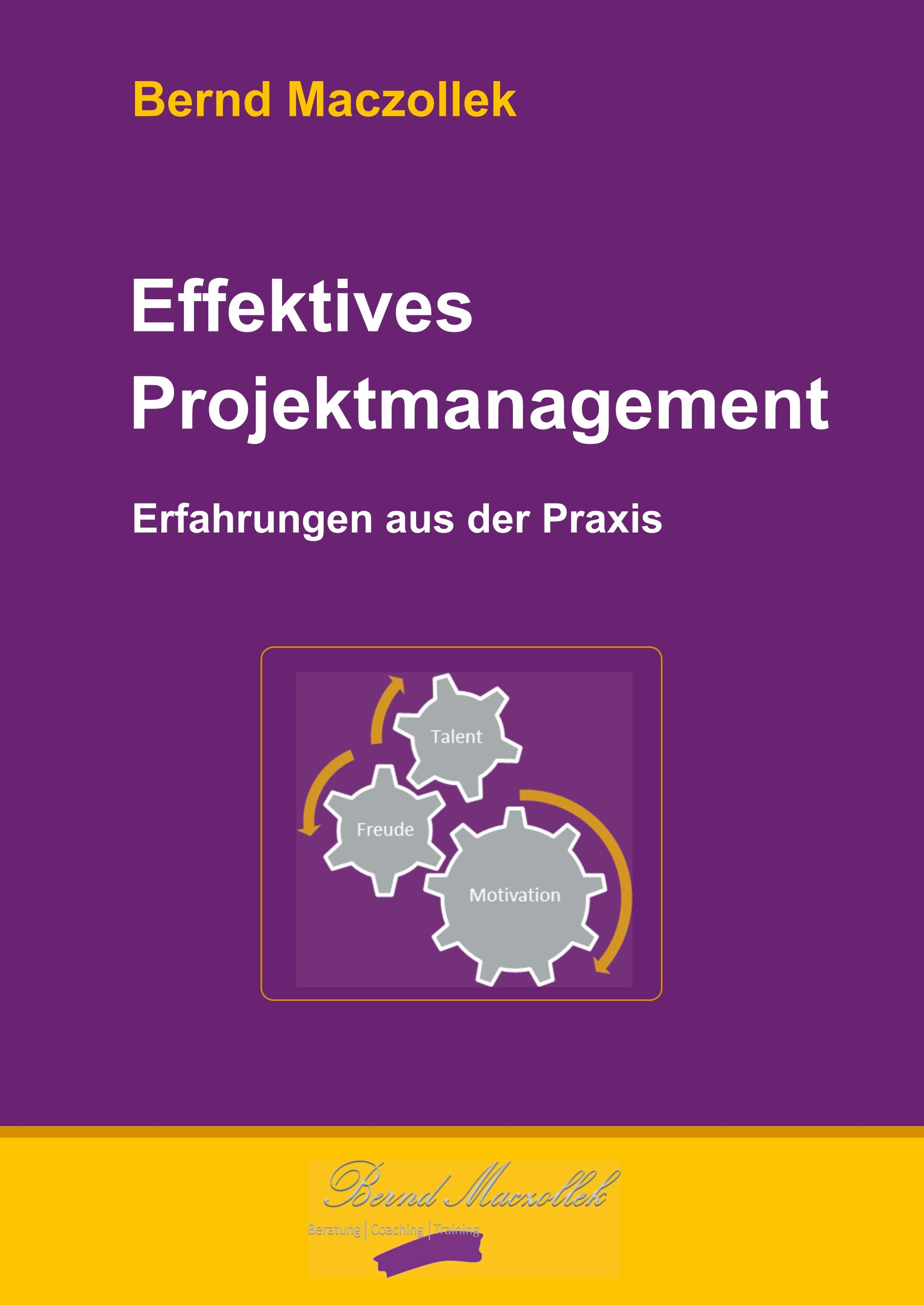 Effektives Projektmanagement - Bernd Maczollek