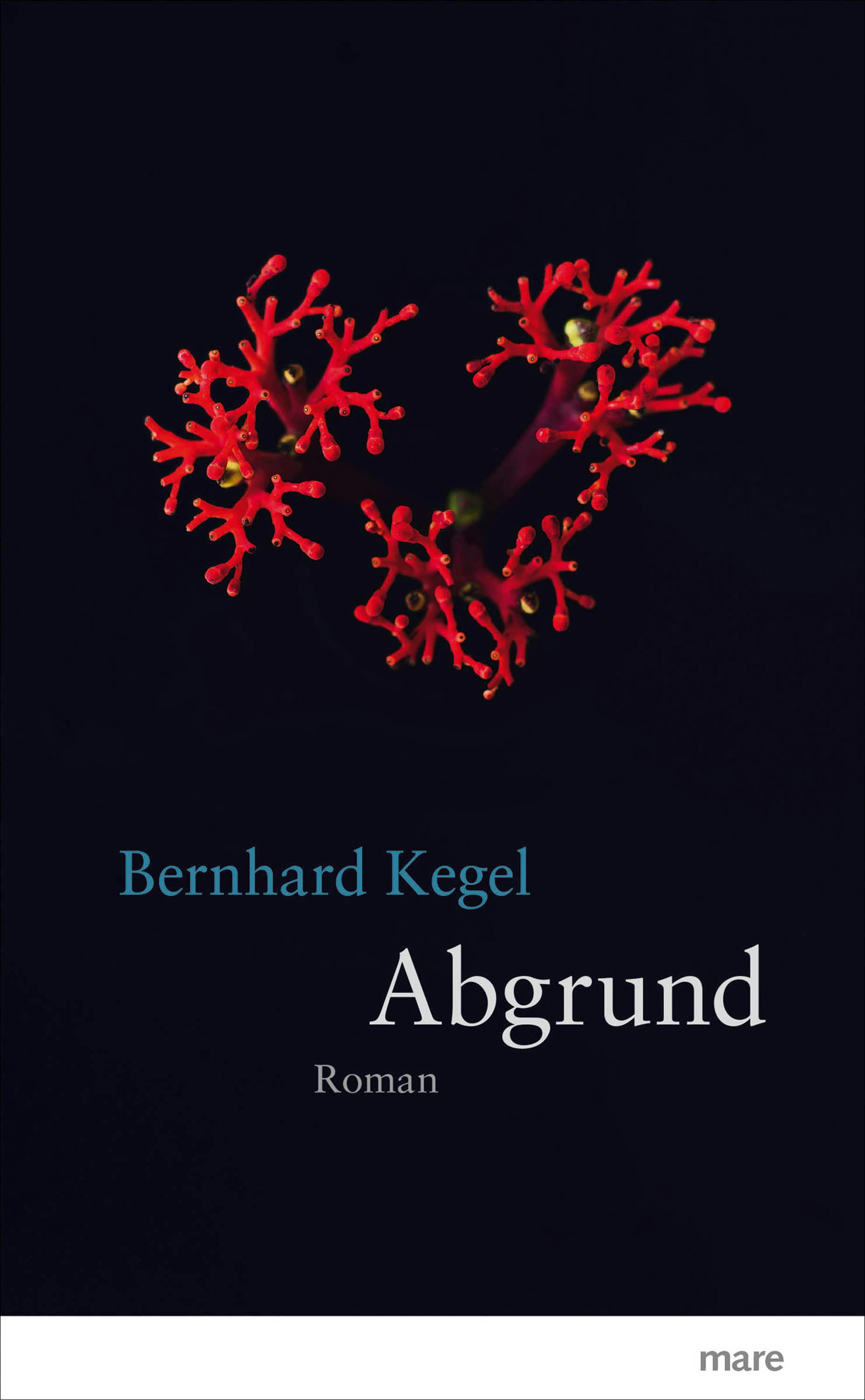 Abgrund - Bernhard Kegel