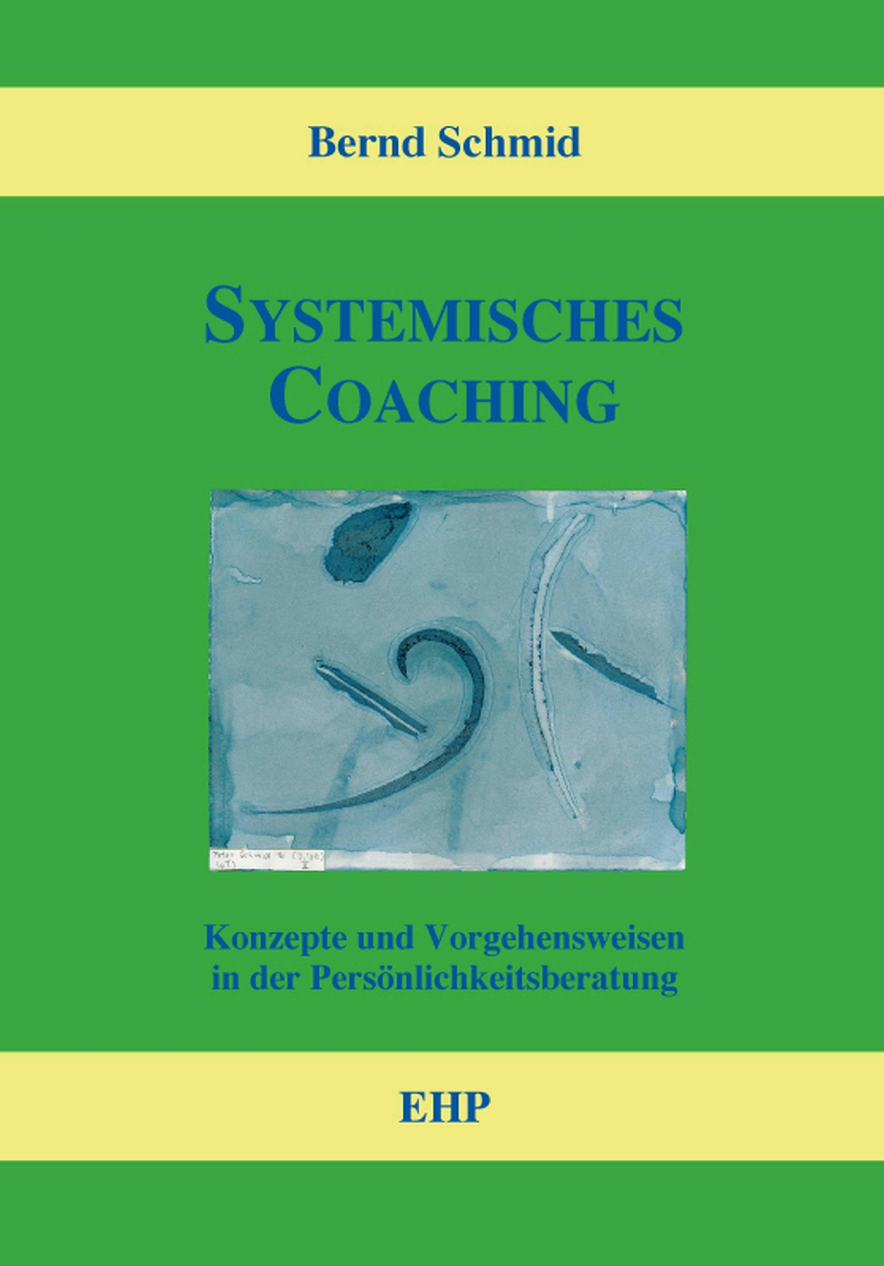Systemisches Coaching: Konzepte und Vorgehensweisen in der Persönlichkeitsberatung - Bernd Schmid, Ingeborg Weidner