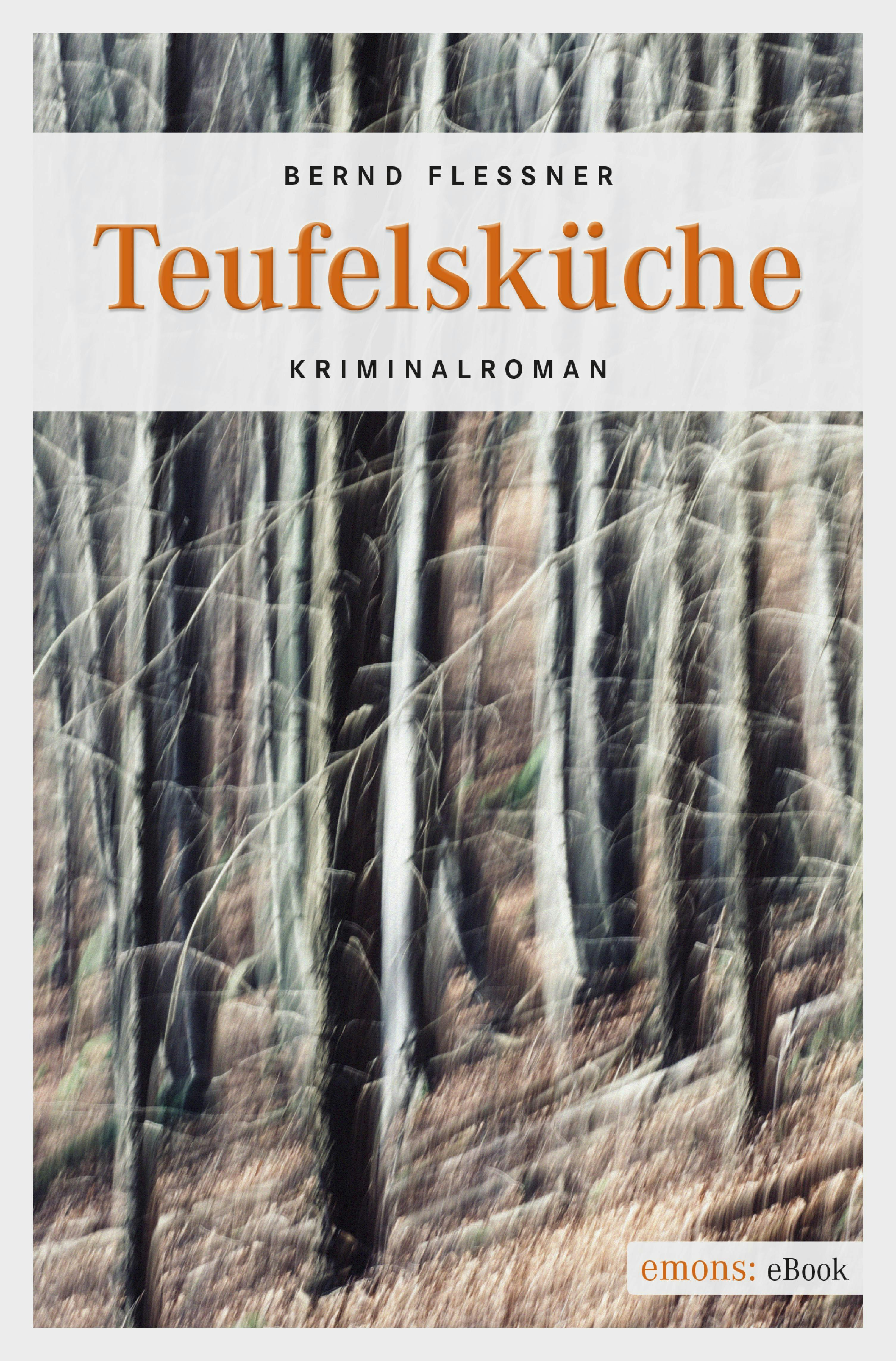 Teufelsküche: Kriminalroman - Bernd Flessner