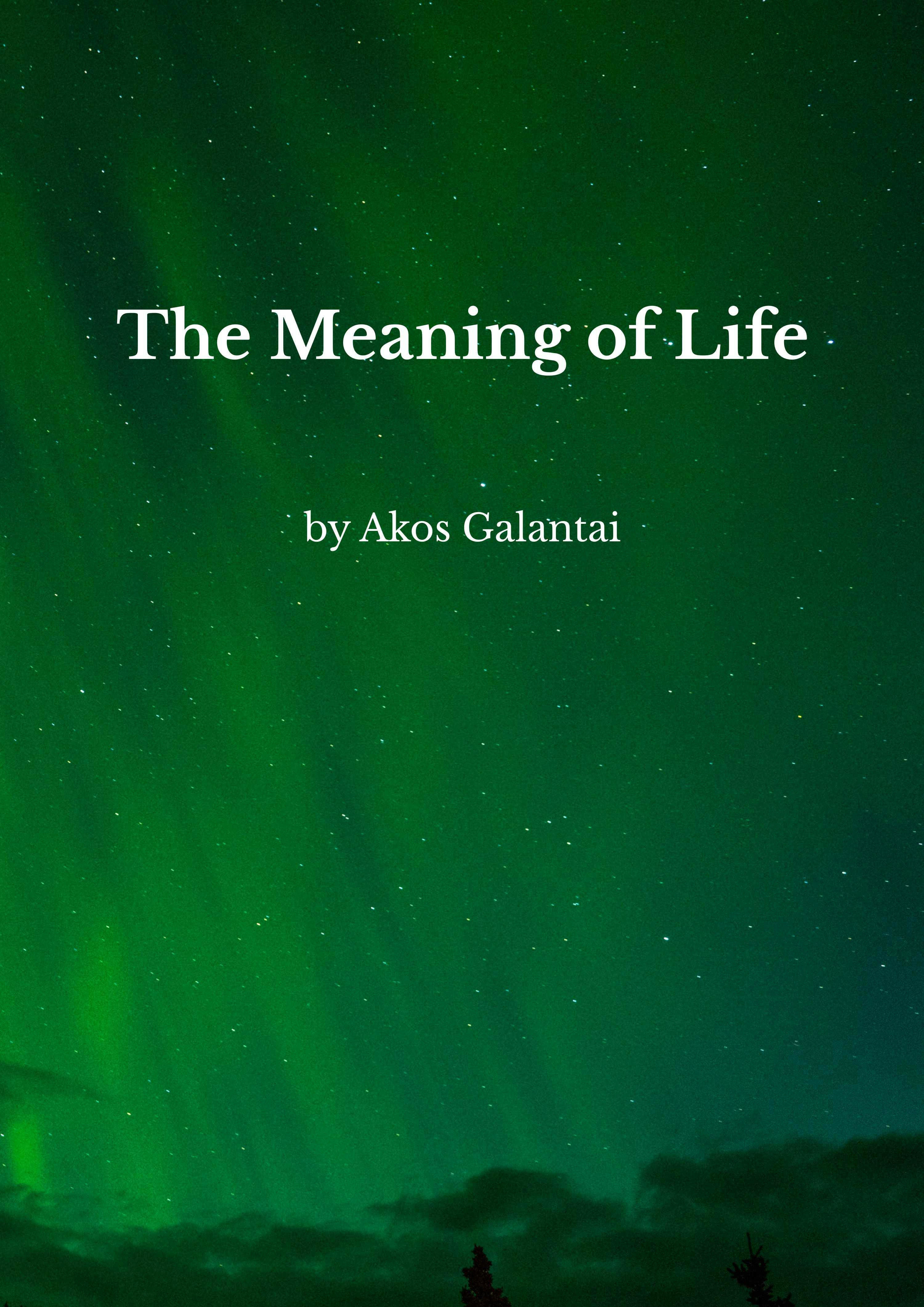 The Meaning of Life - Akos Galantai