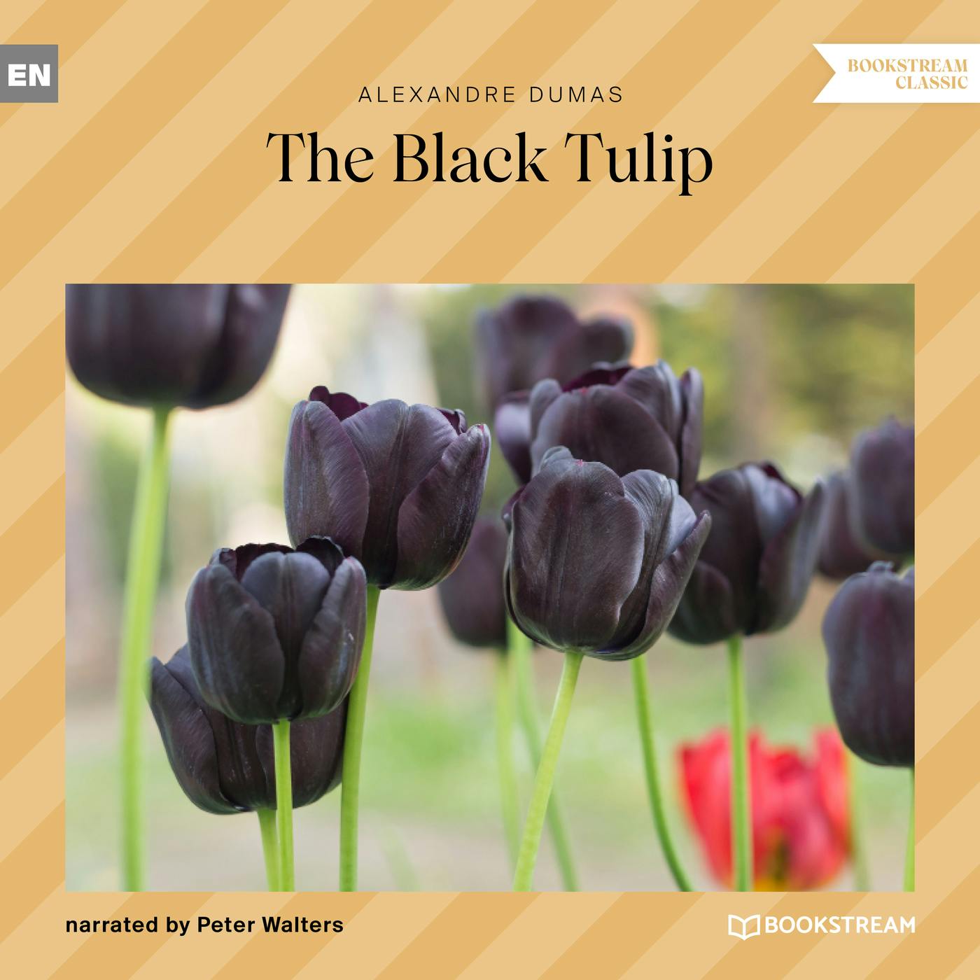 The Black Tulip (Unabridged) - Alexandre Dumas