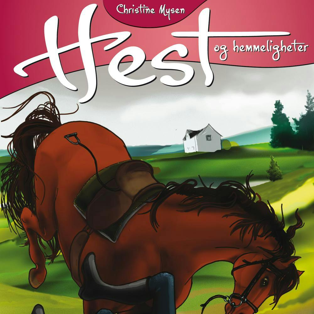 Hest og Hemmeligheter 12: Ulykke - Christine Mysen