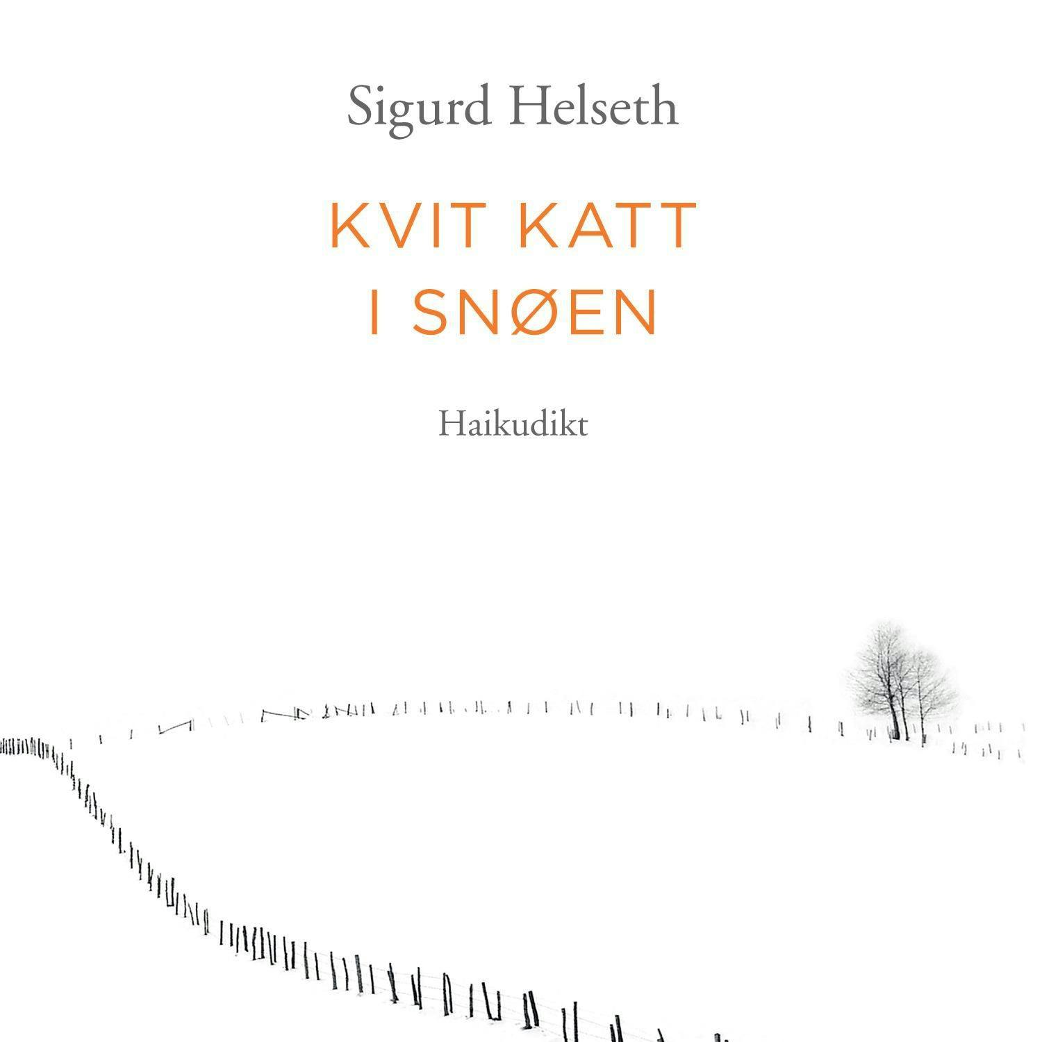 Kvit katt i snøen - Haikudikt - Sigurd Helseth