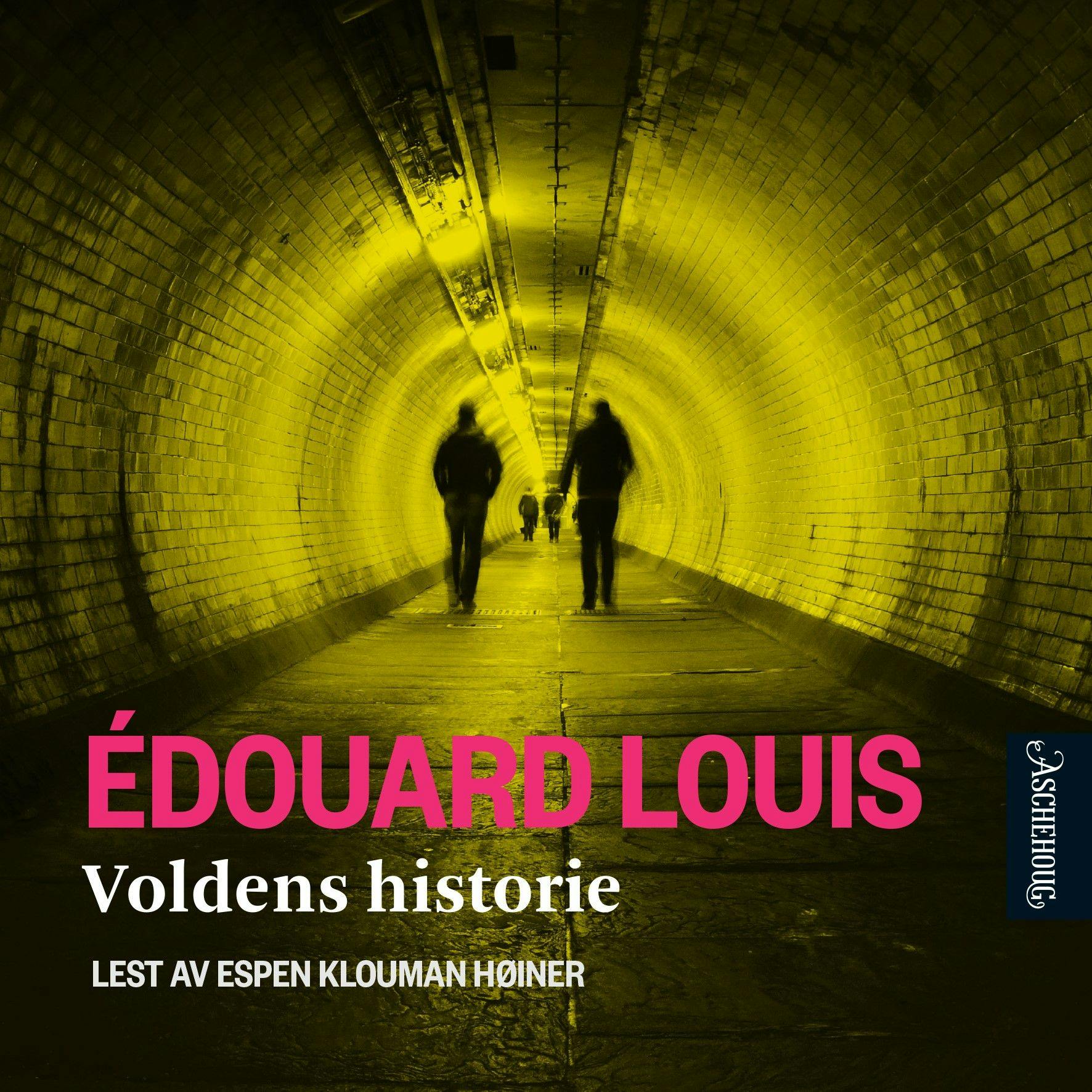 Voldens historie - Edouard Louis