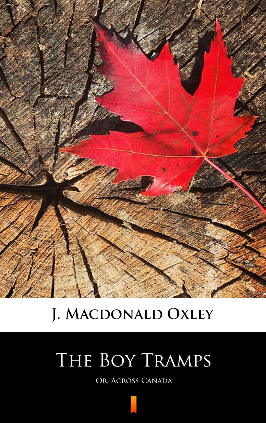 The Boy Tramps - J. Macdonald Oxley