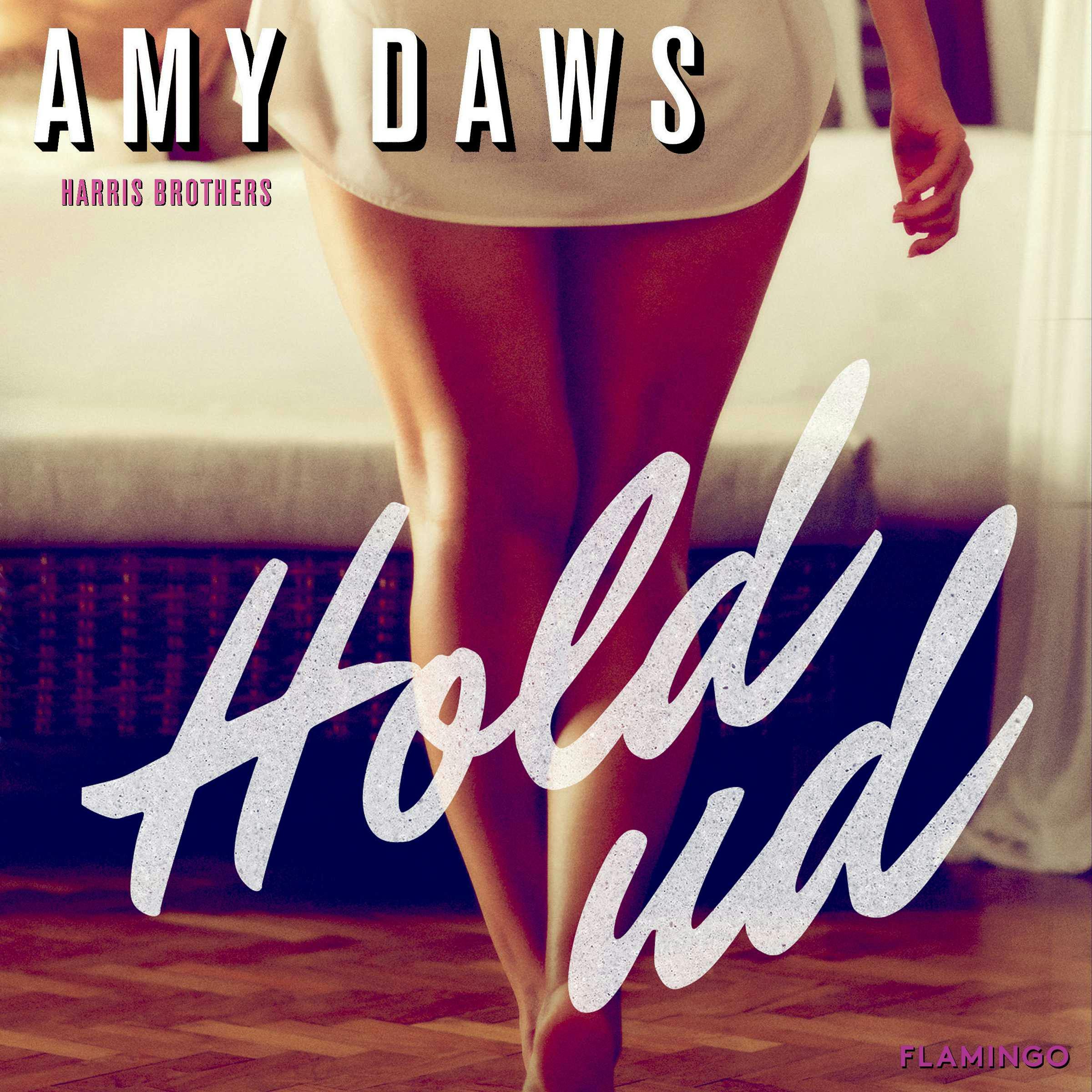 Hold ud - Amy Daws