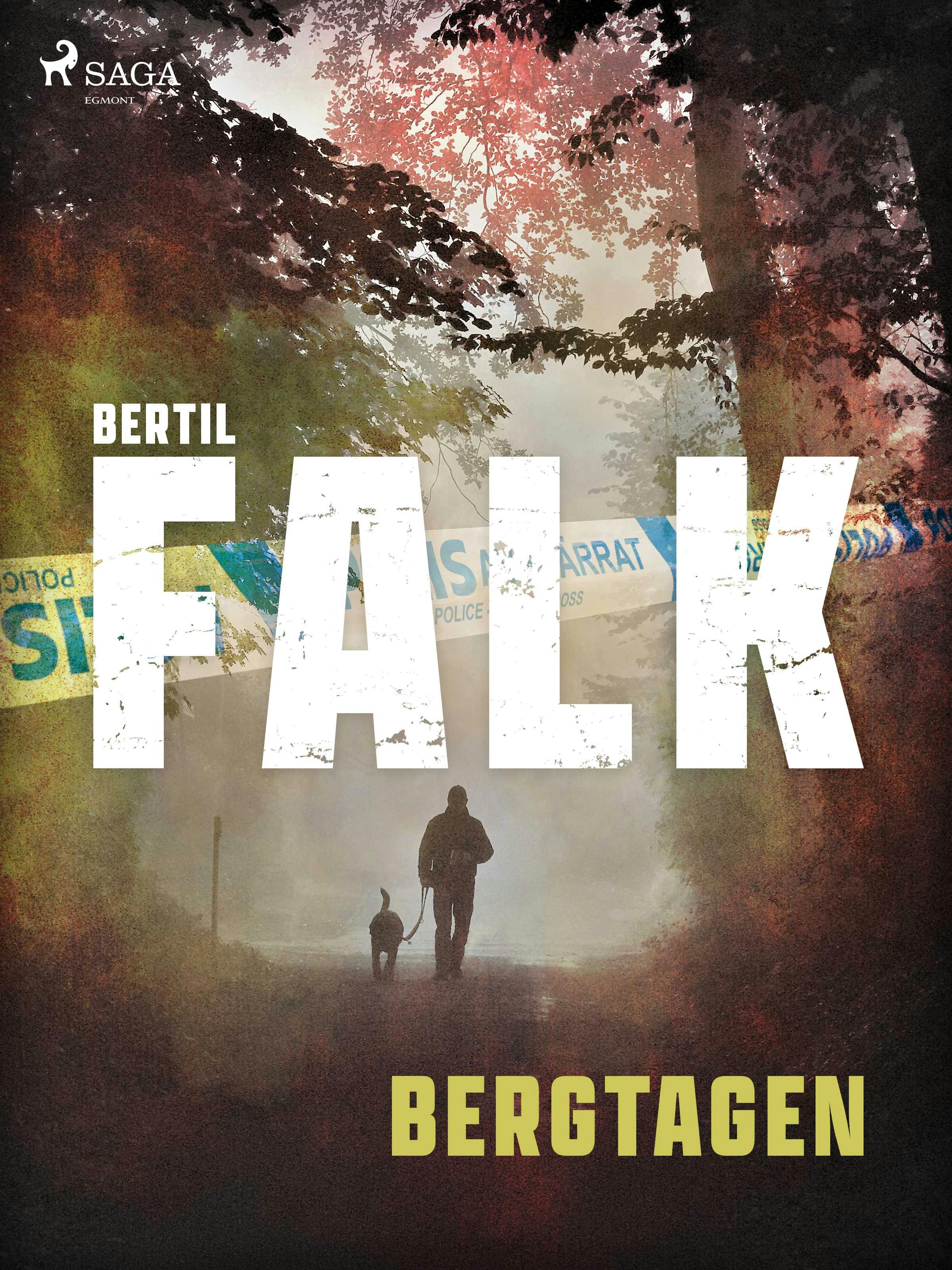 Bergtagen - Bertil Falk