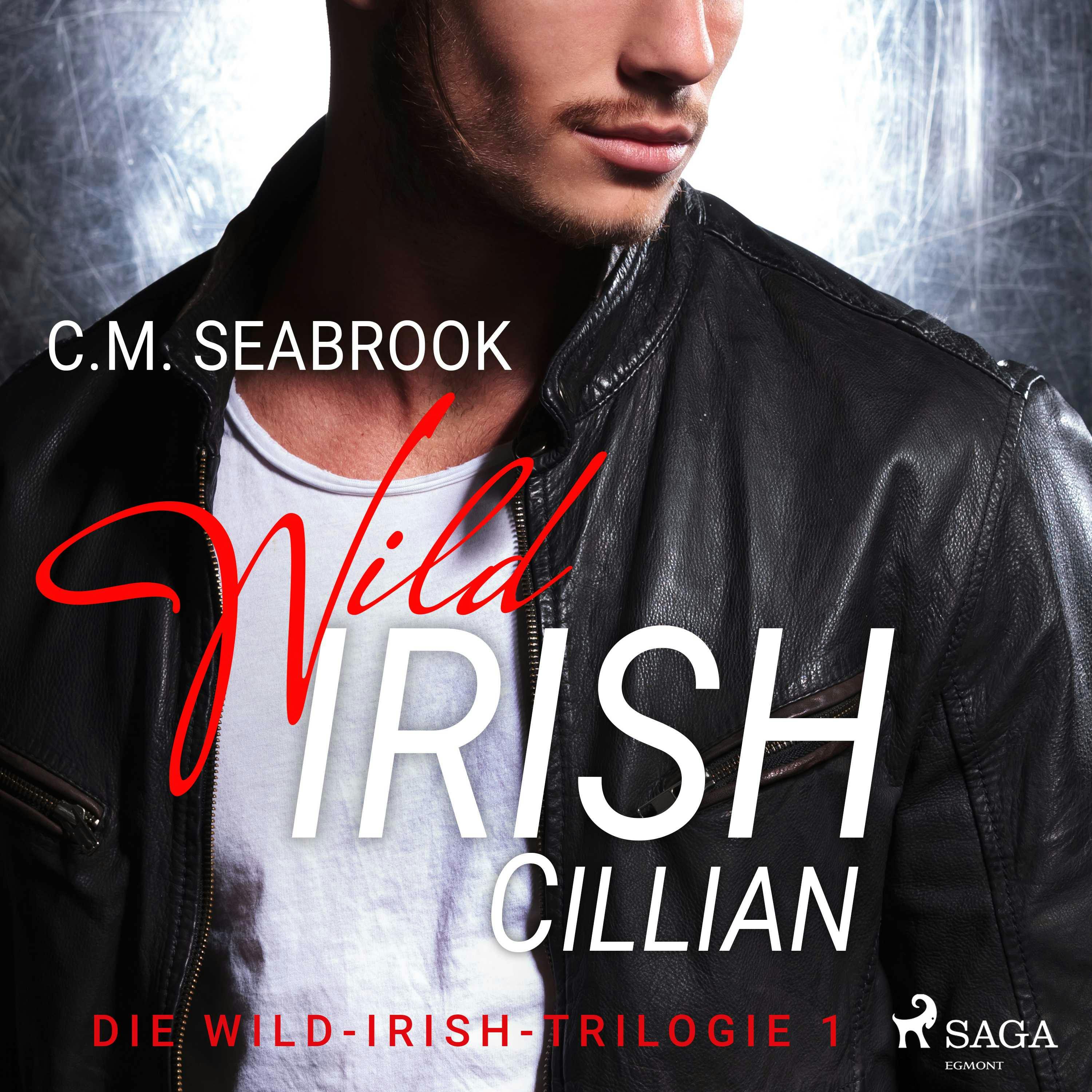 Wild Irish - Cillian: Eine Rockstar-Romance (Die Wild-Irish-Trilogie 1) - C.M. Seabrook