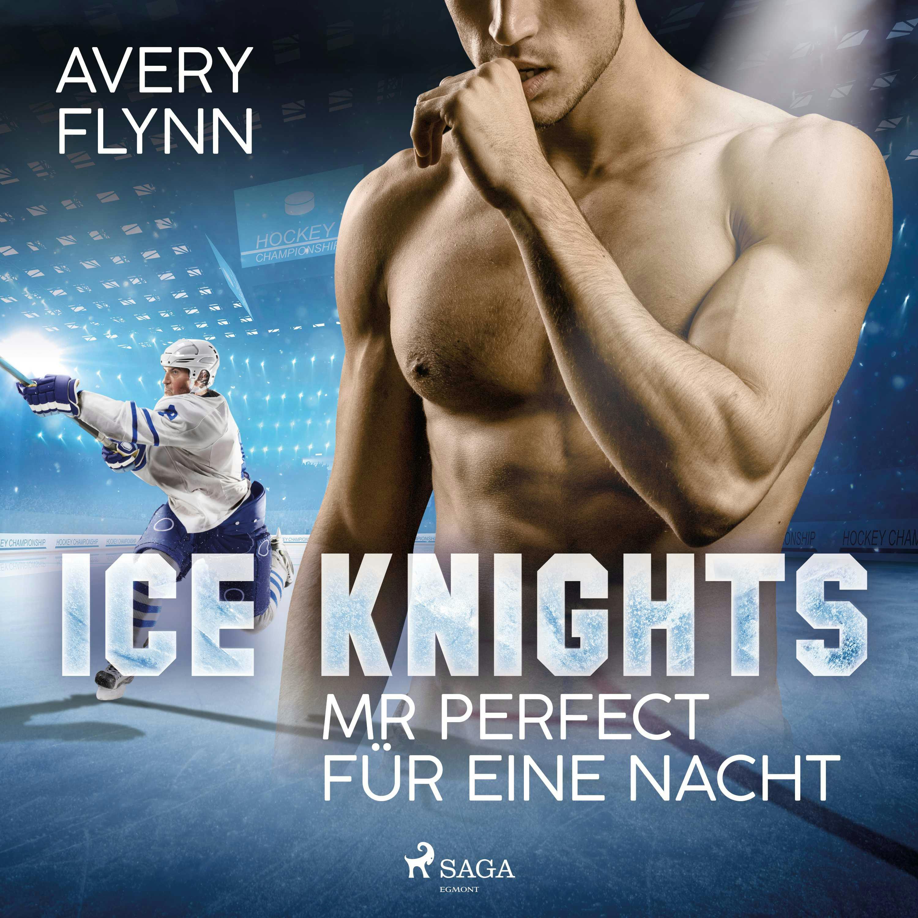 Ice Knights - Mr Perfect für eine Nacht - undefined