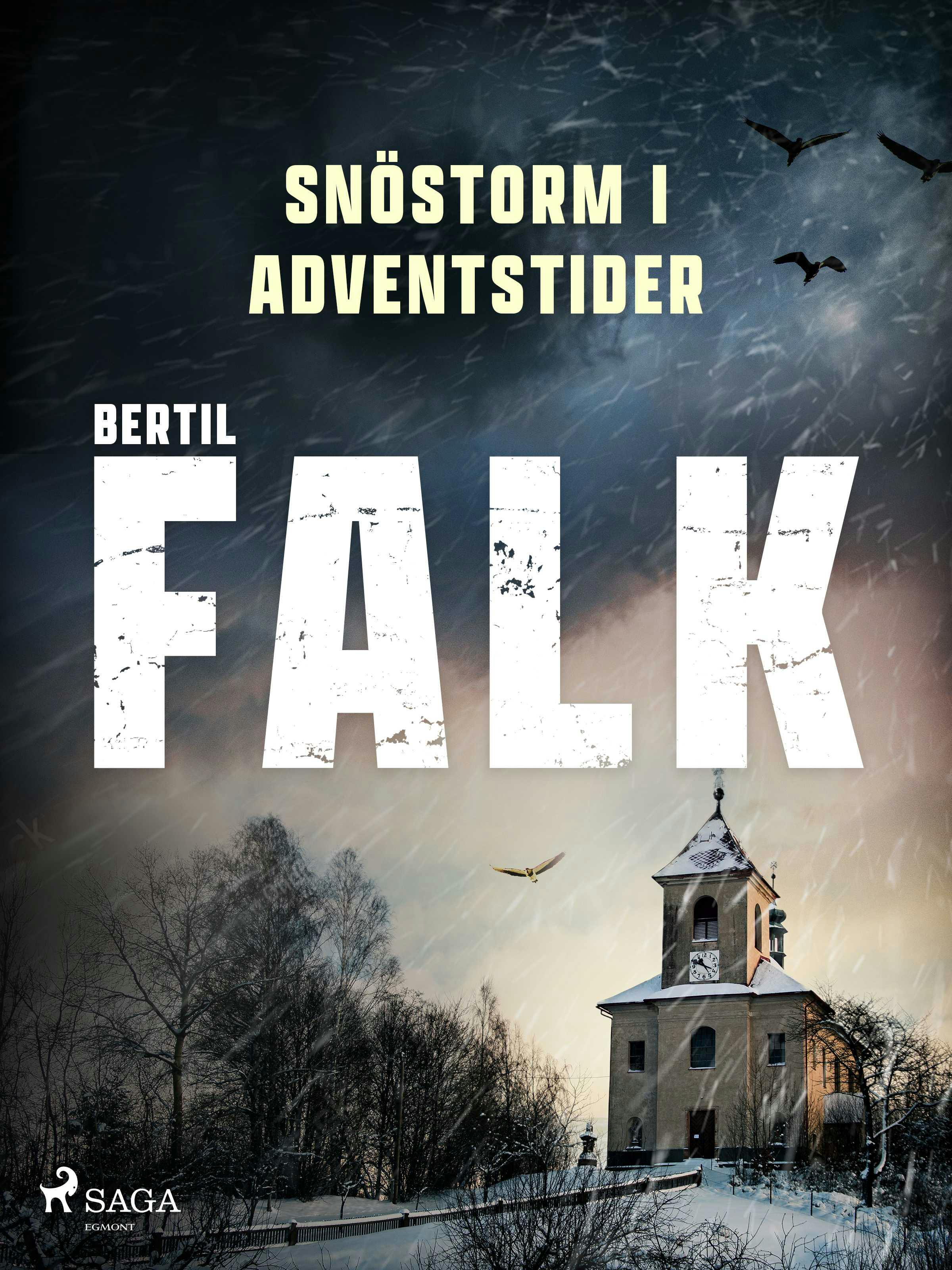 Snöstorm i adventstider - Bertil Falk