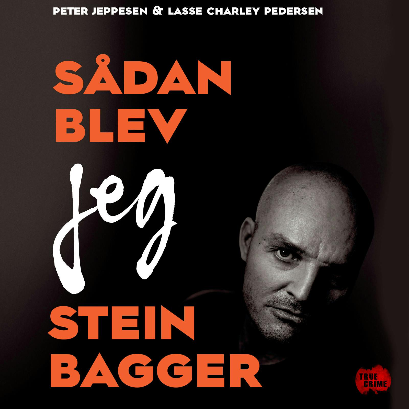 Sådan blev jeg Stein Bagger: En storsvindlers bekendelser - undefined