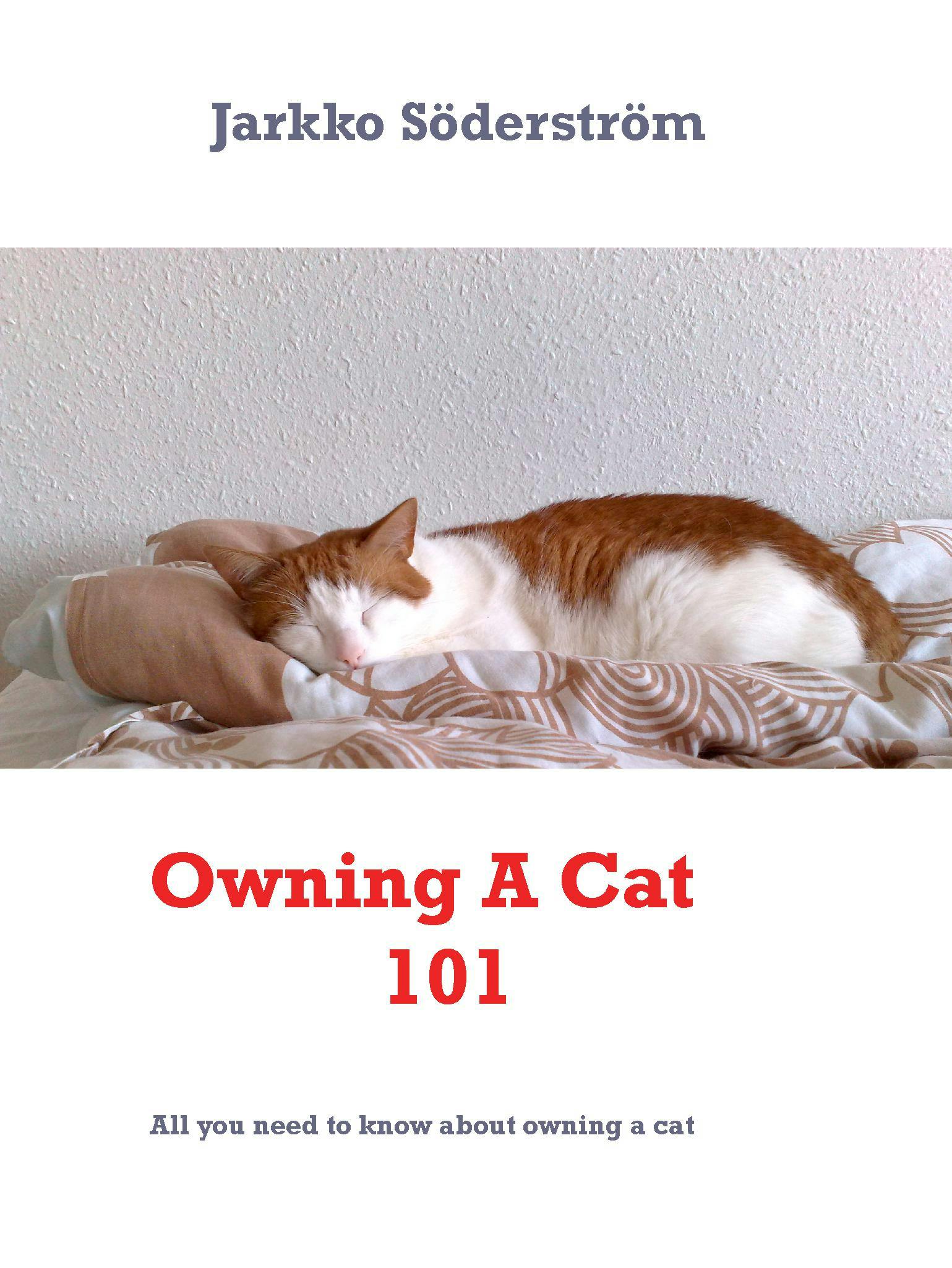 Owning A Cat 101 - undefined