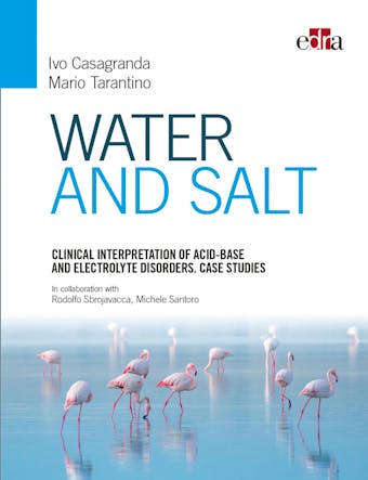 Clinical interpretation of acid-base and electrolyte disorders