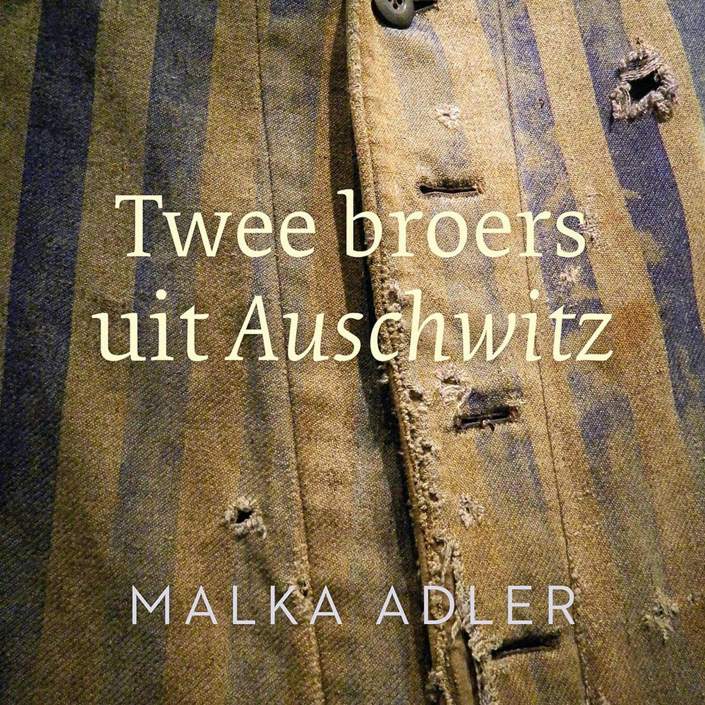 Twee broers uit Auschwitz - undefined