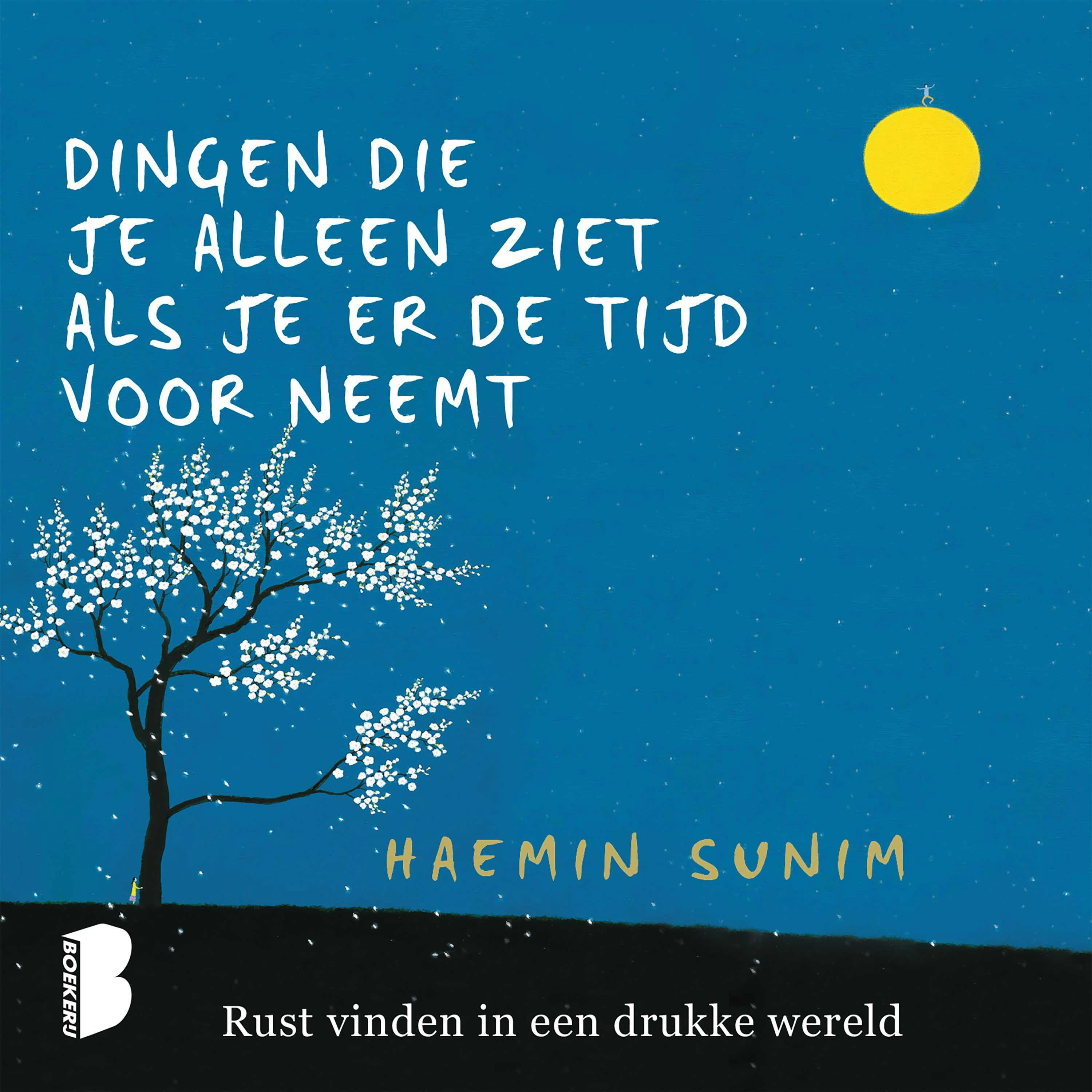 Dingen die je alleen ziet als je er de tijd voor neemt: Rust vinden in een drukke wereld - Haemin Sunim