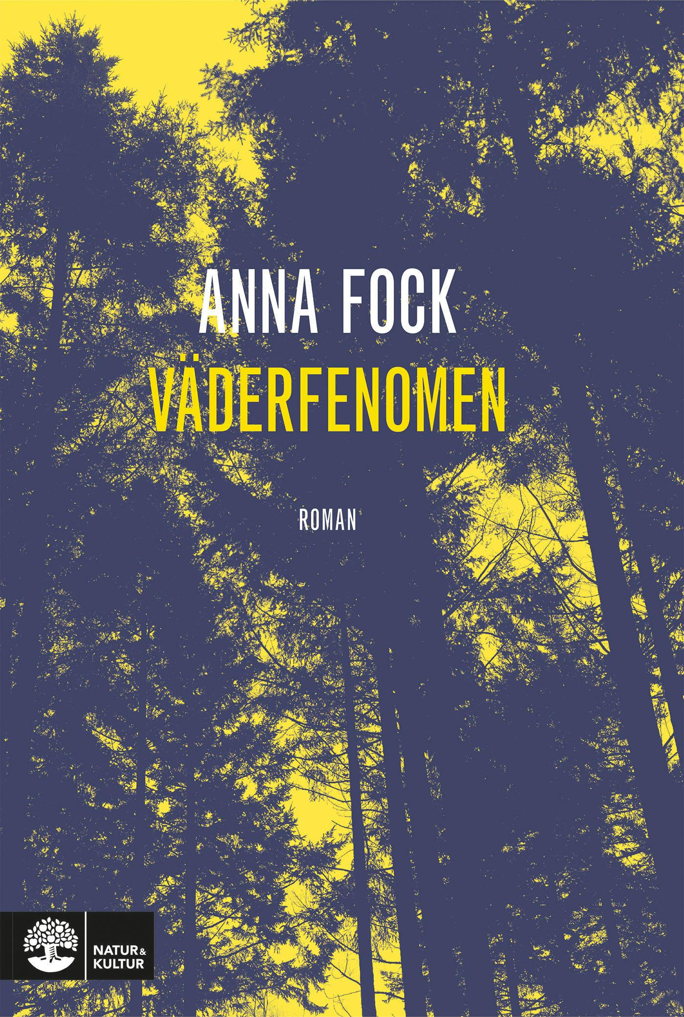 Väderfenomen - Anna Fock