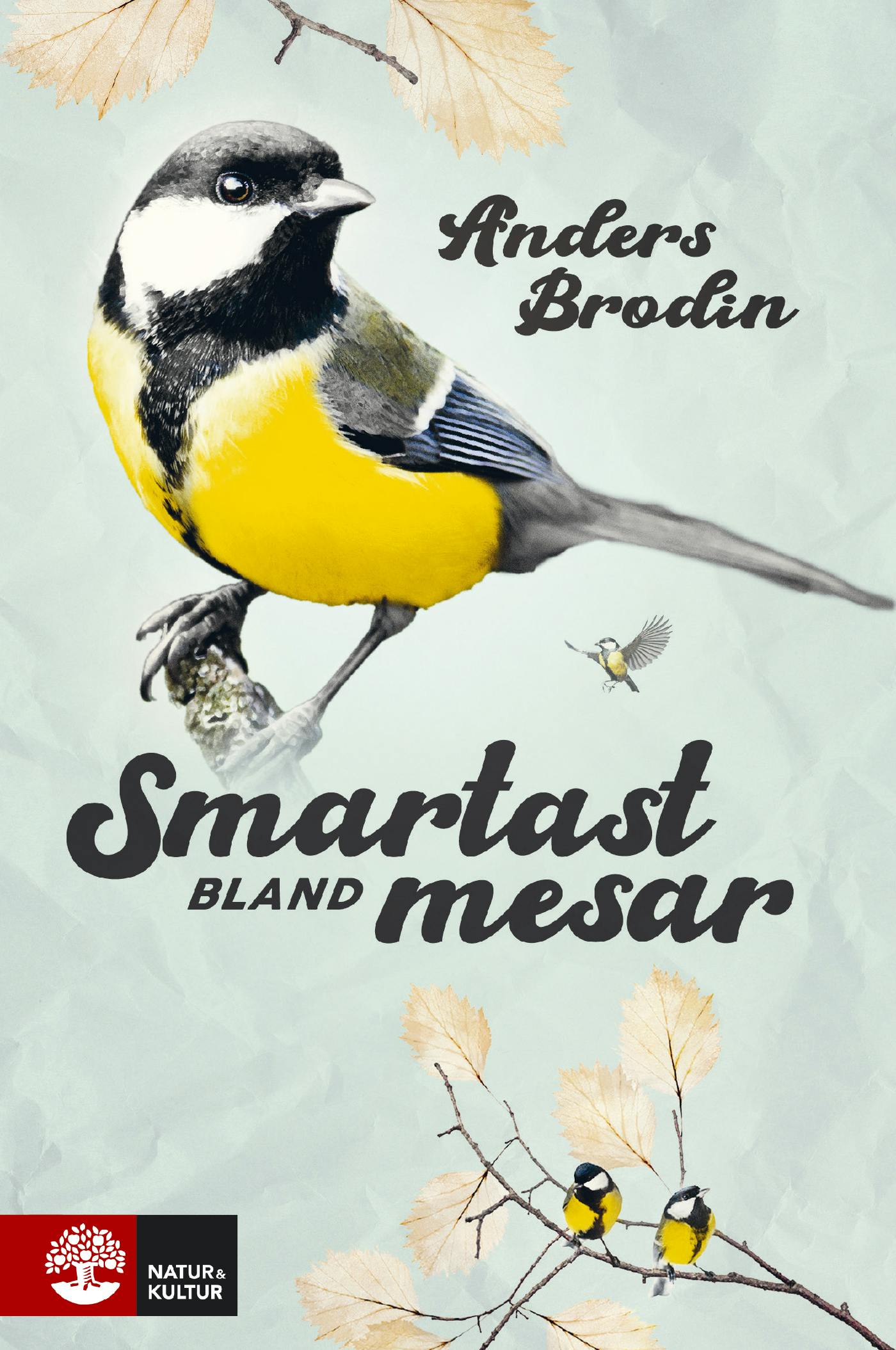 Smartast bland mesar - Anders Brodin