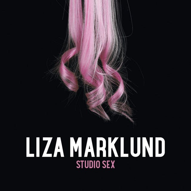 Studio sex - Liza Marklund