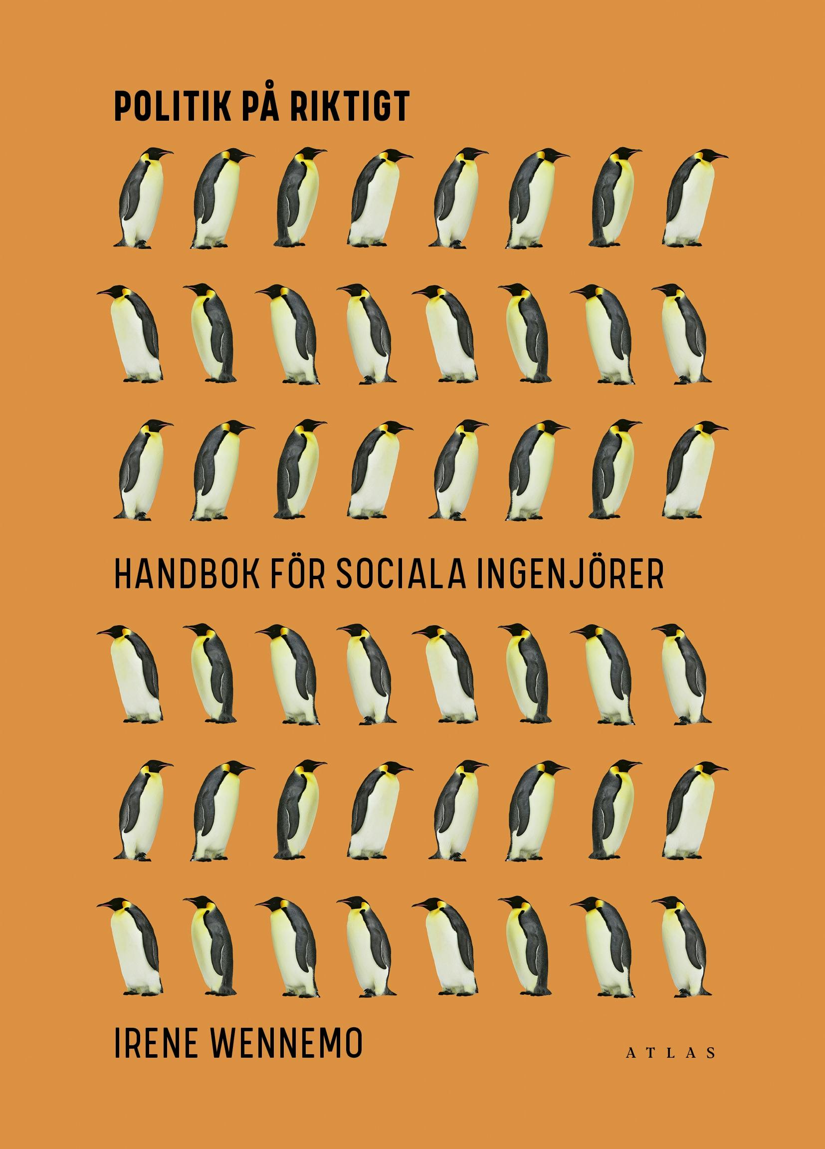 Politik på riktigt : Handbok för sociala ingenjörer - Irene Wennemo