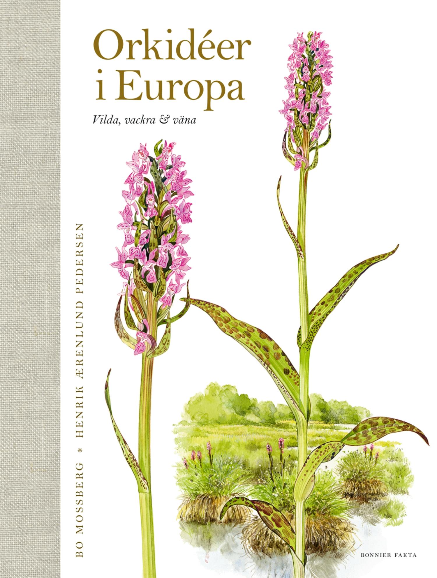 Orkidéer i Europa : vilda, vackra & väna - Henrik Aerenlund Pedersen, Bo Mossberg