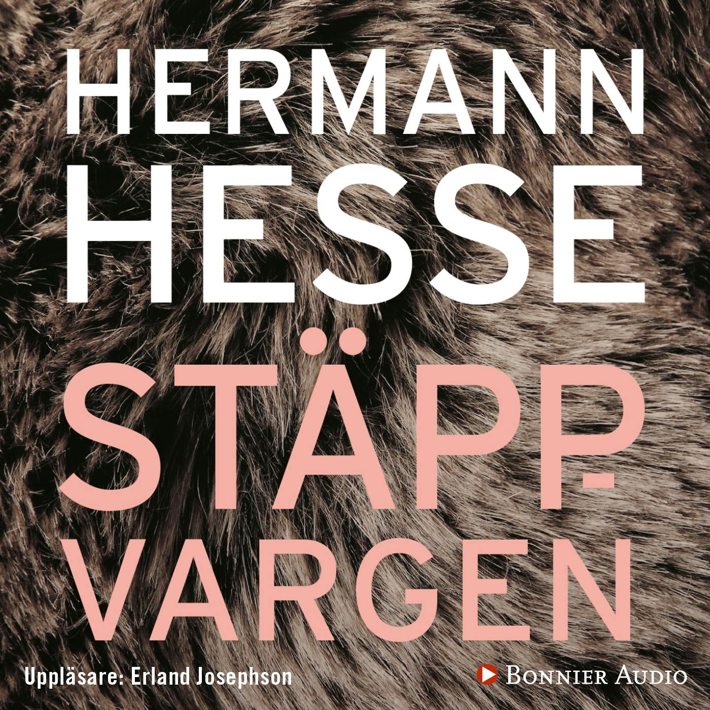 Stäppvargen - Hermann Hesse