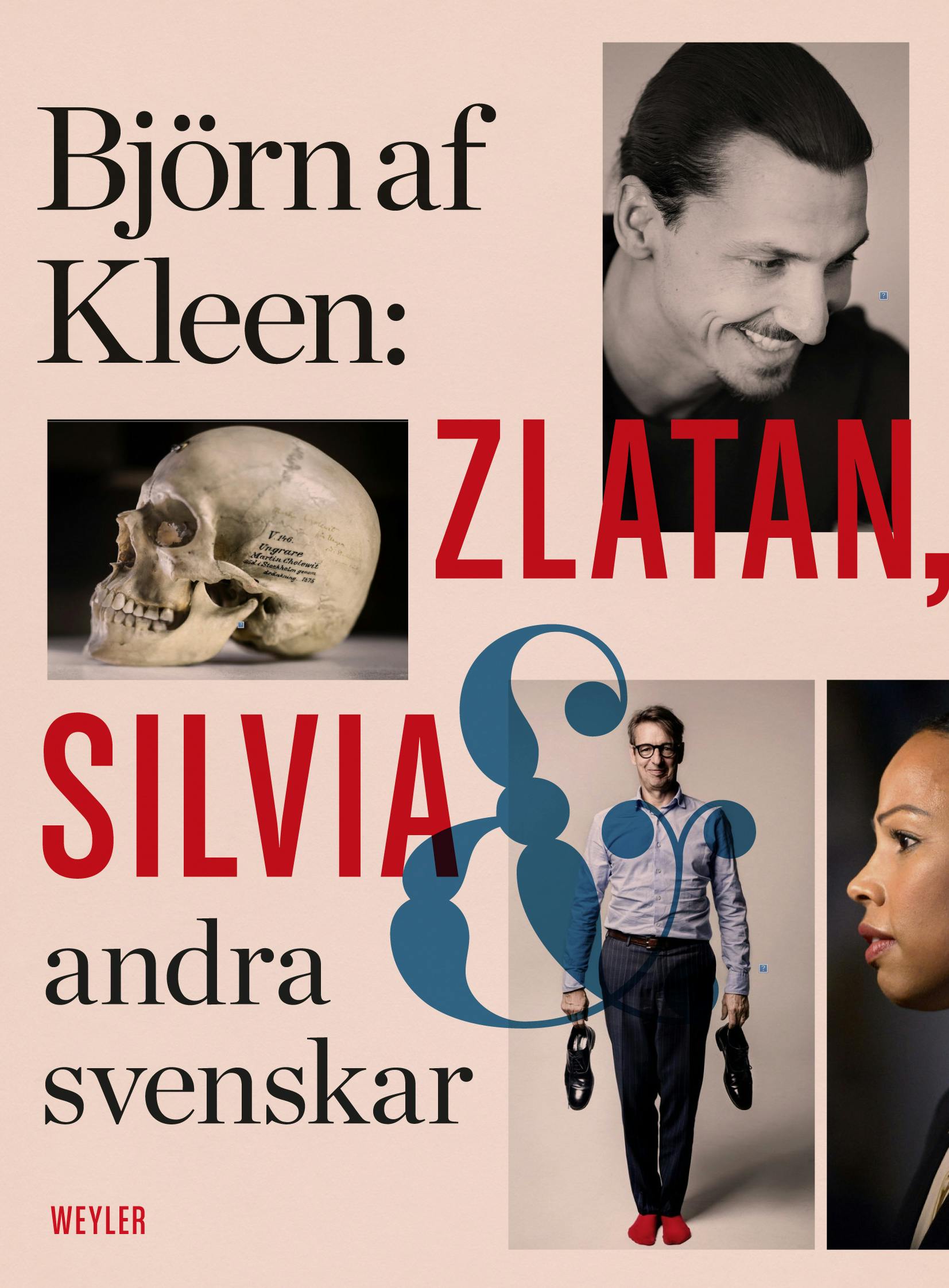 Zlatan, Silvia och andra svenskar - undefined