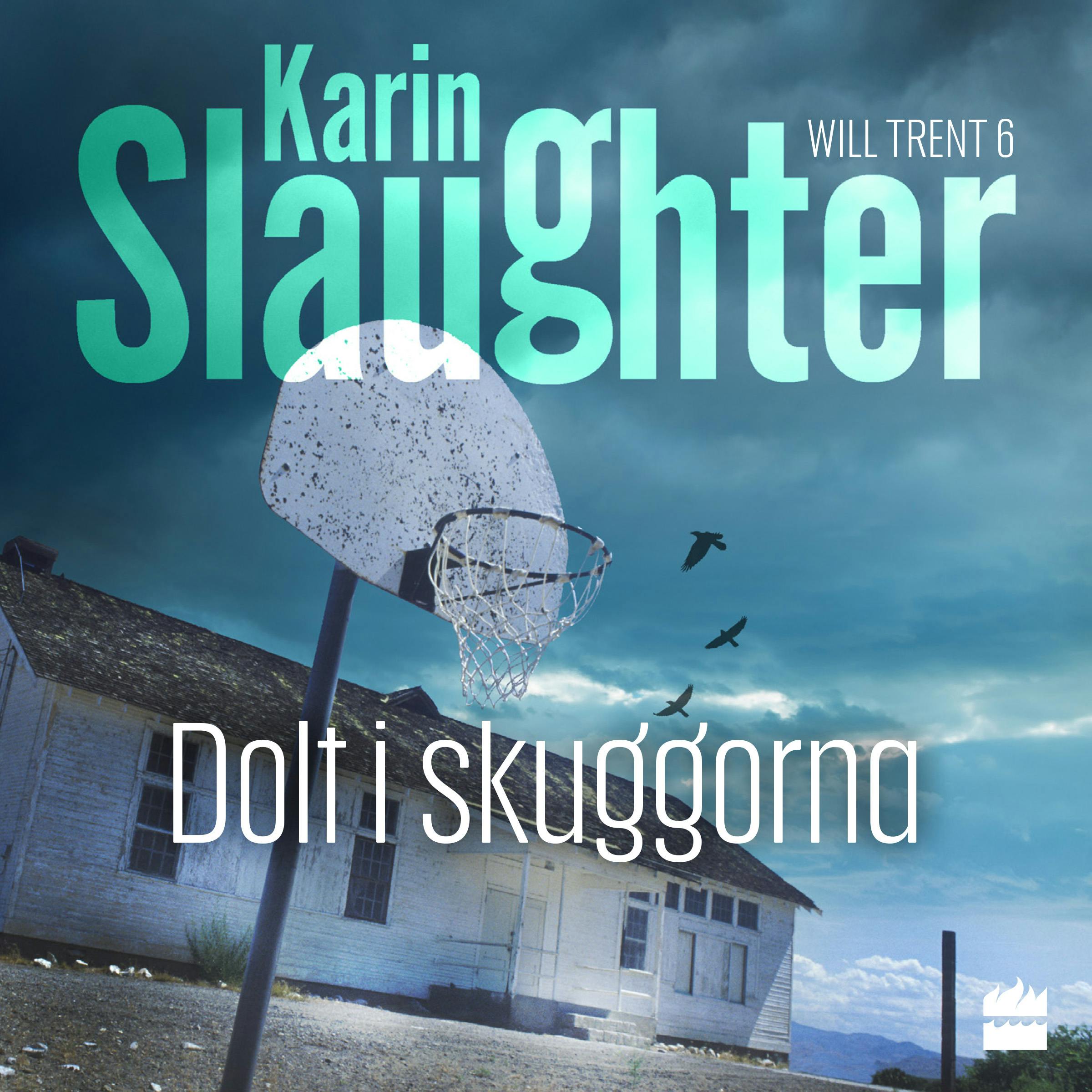 Dolt i skuggorna - Karin Slaughter