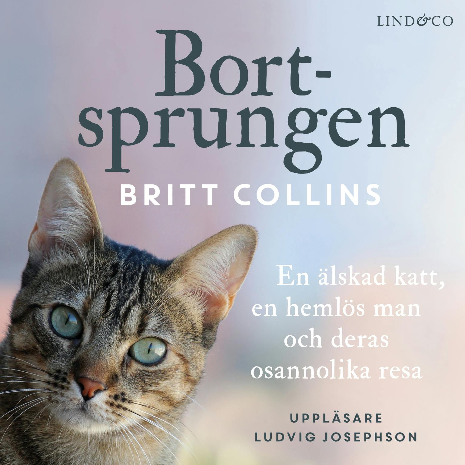 Bortsprungen: En älskad katt, en hemlös man och deras osannolika resa - Britt Collins