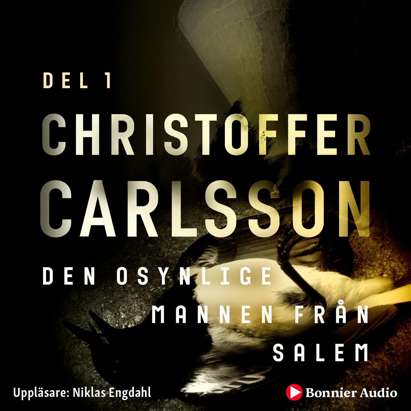 Den osynlige mannen från Salem - Christoffer Carlsson