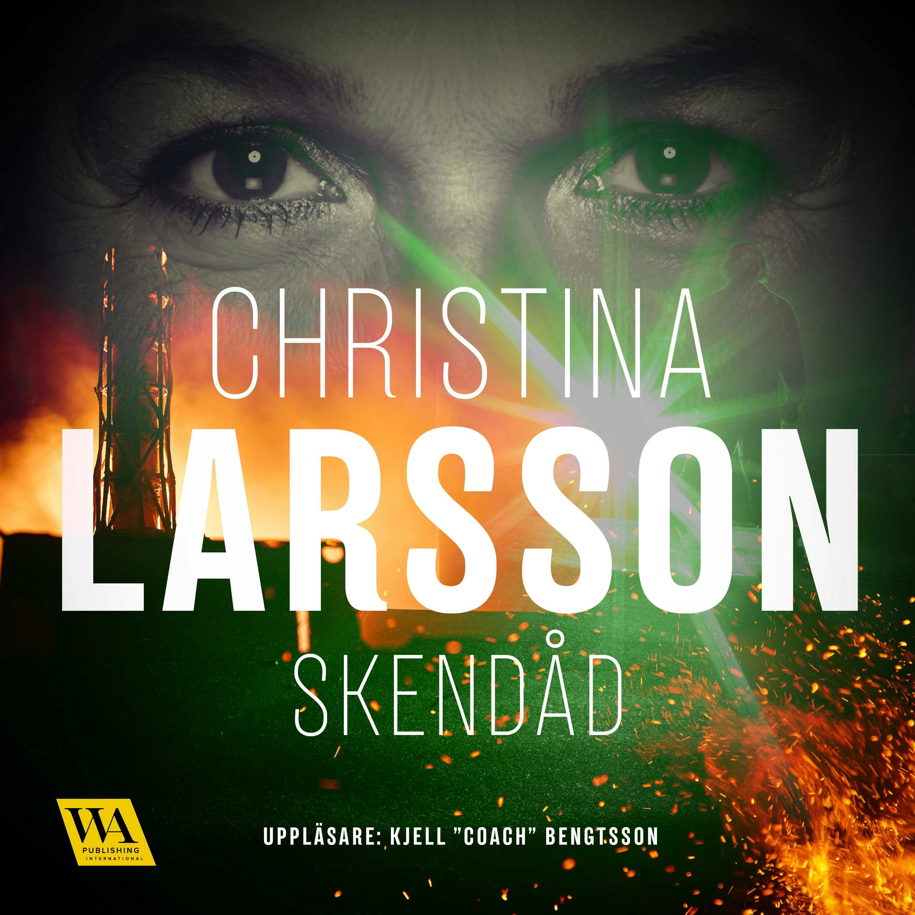 Skendåd - Christina Larsson