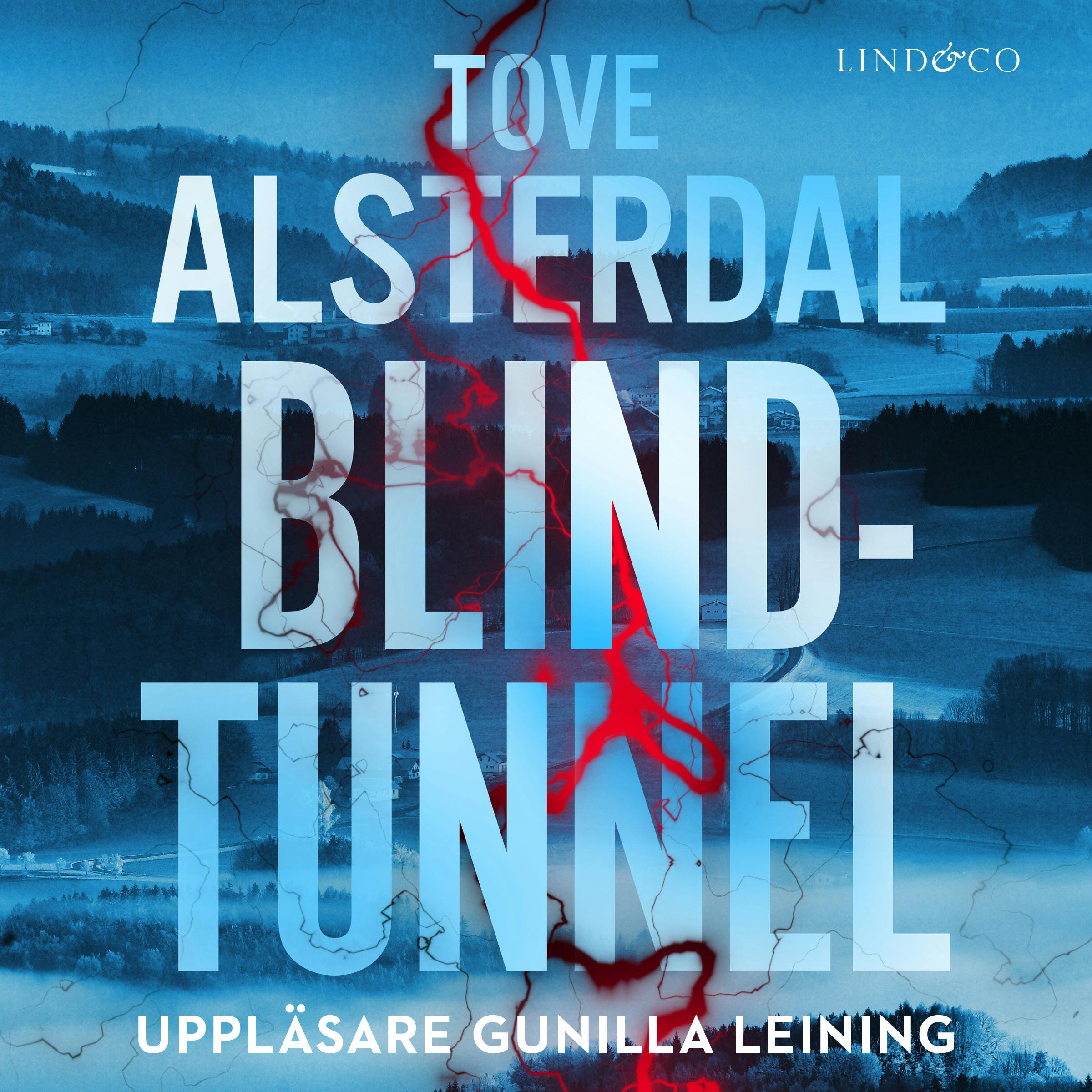 Blindtunnel - undefined