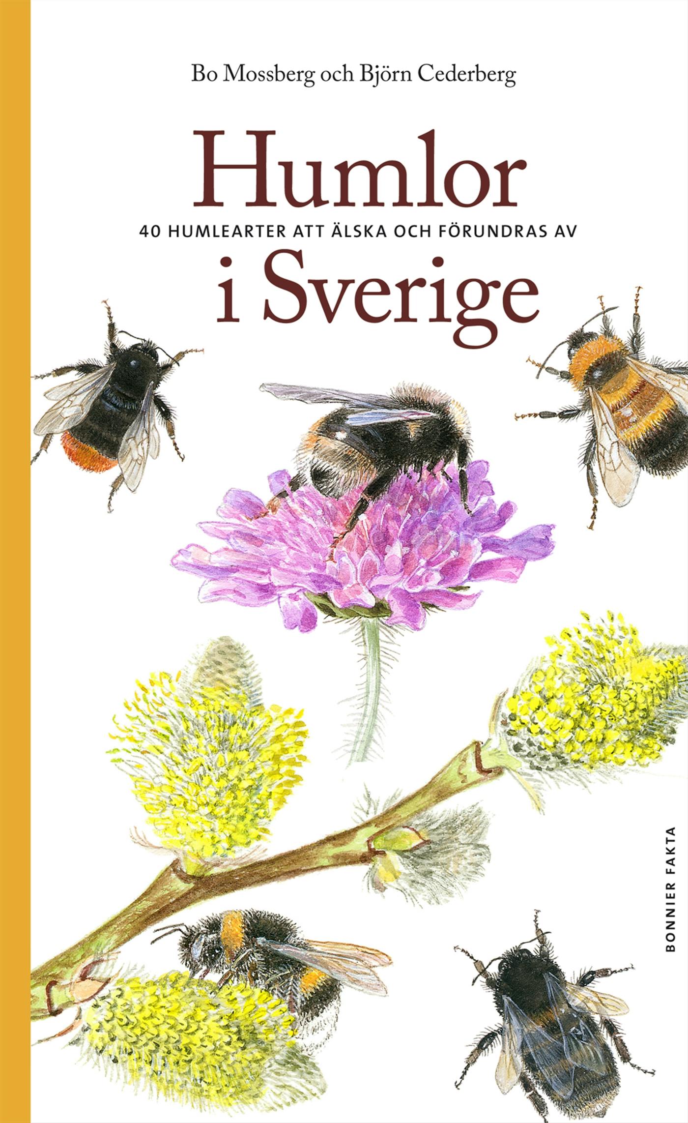 Humlor i Sverige : 40 arter att älska och förundras över - Bo Mossberg, Björn Cederberg