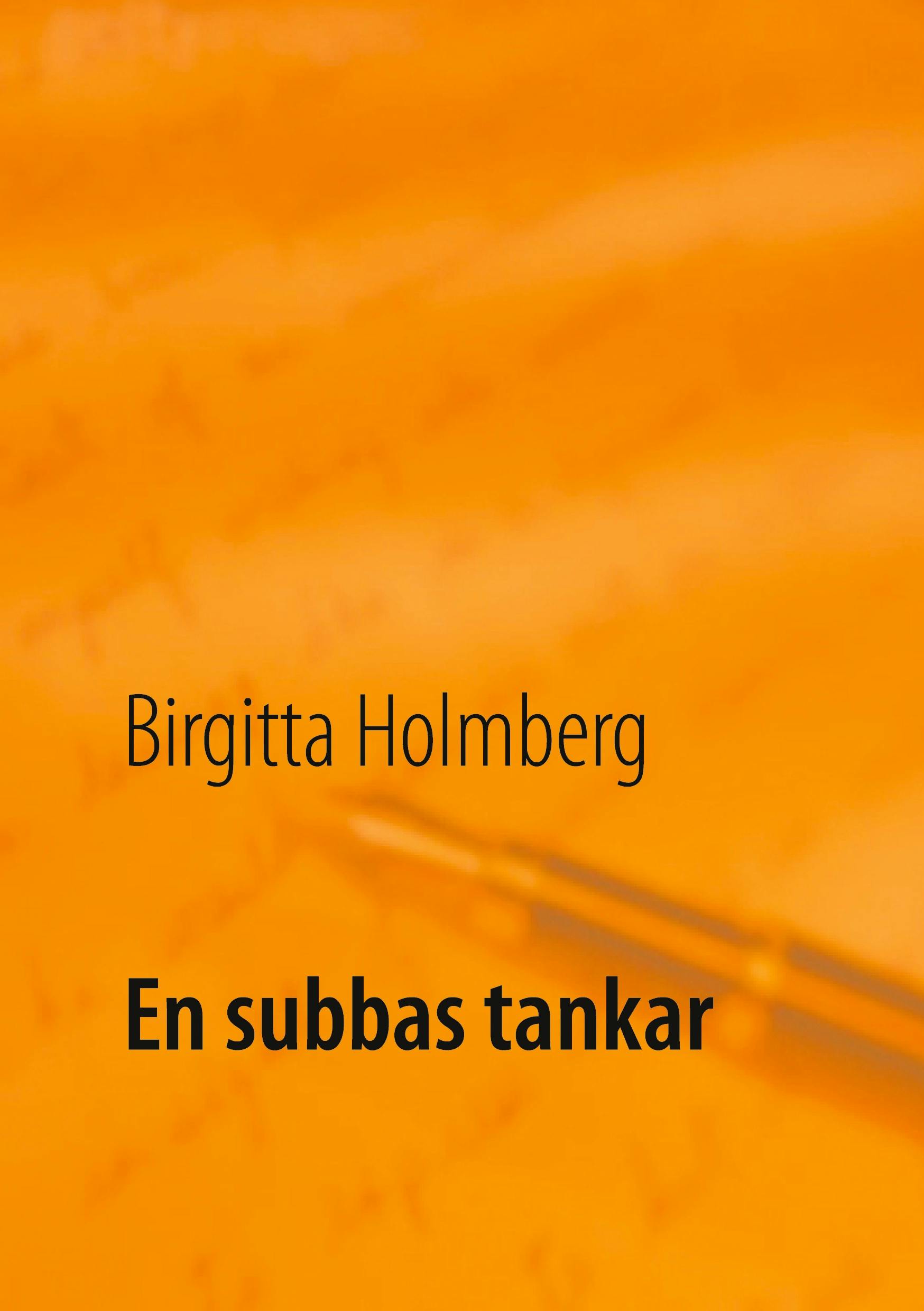En subbas tankar - Birgitta Holmberg