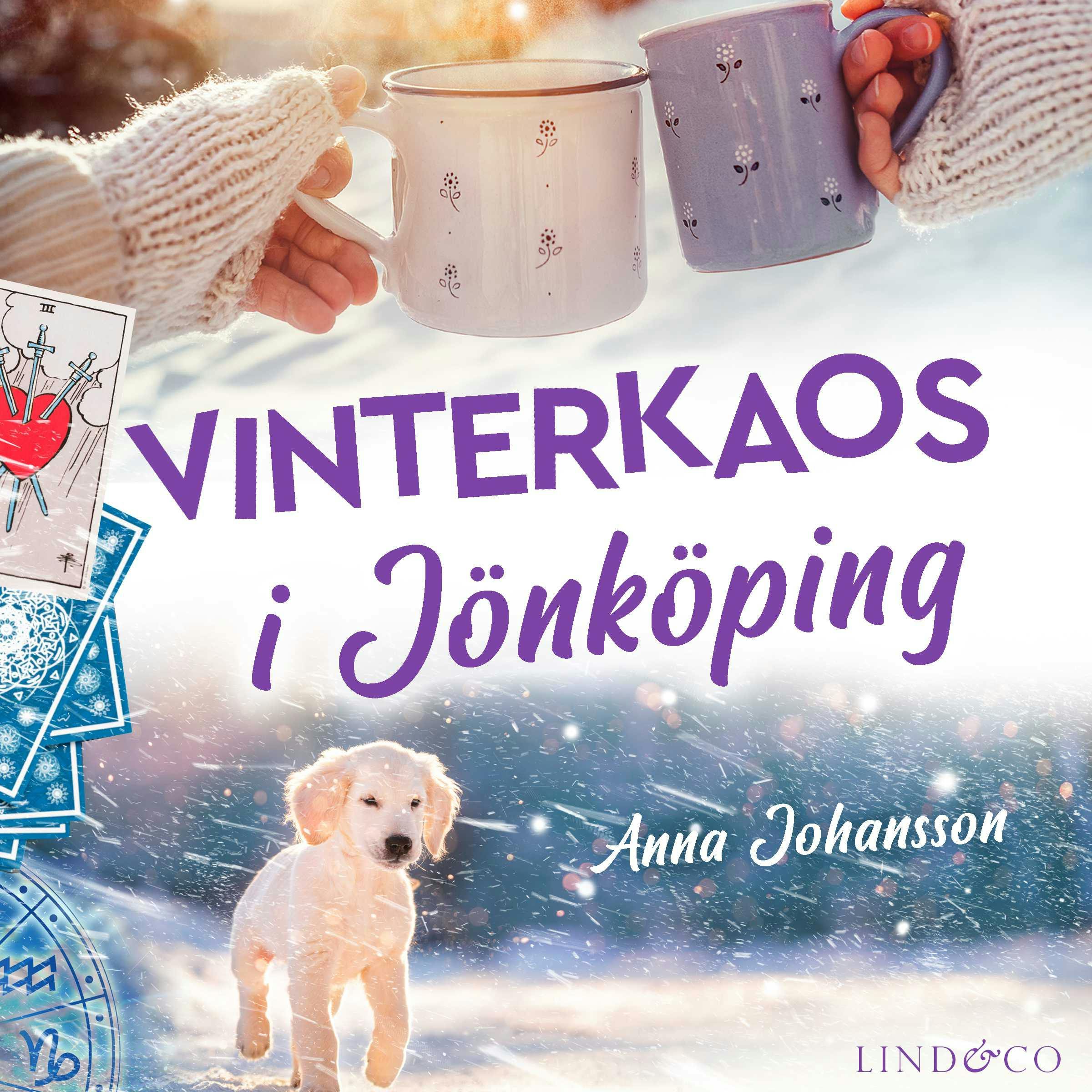 Vinterkaos i Jönköping - undefined