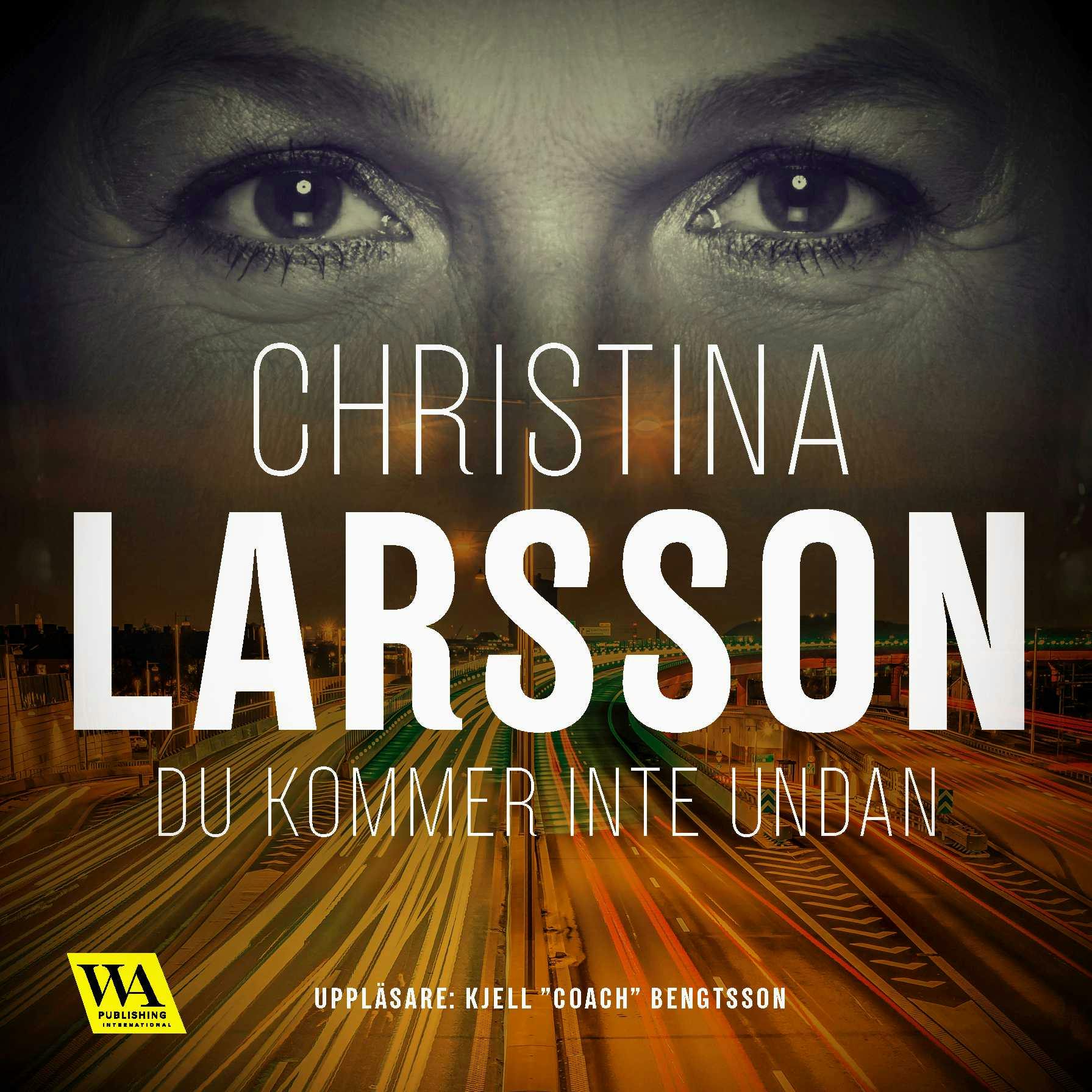 Du kommer inte undan - Christina Larsson