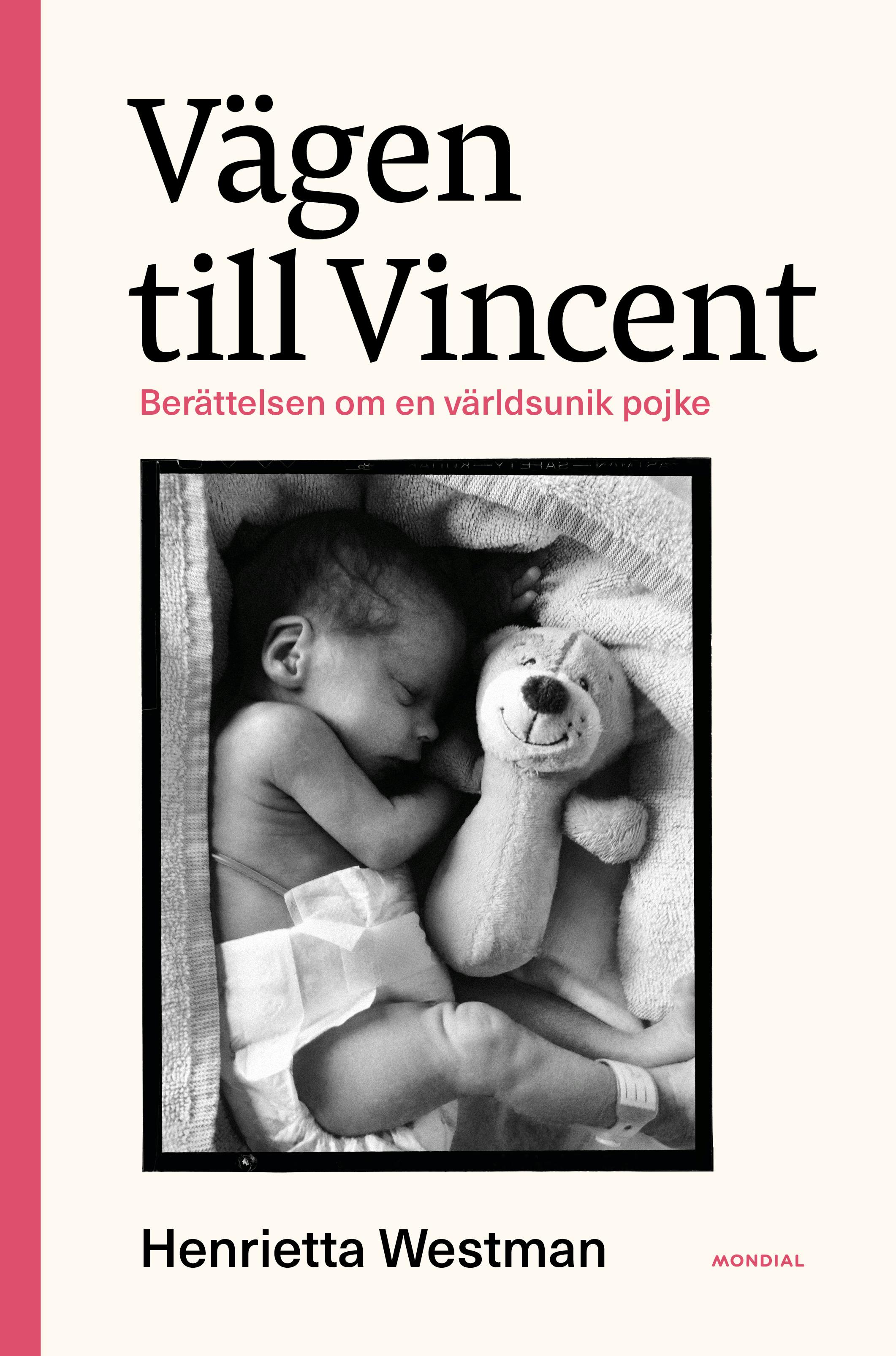 Vägen till Vincent : berättelsen om en världsunik pojke - undefined