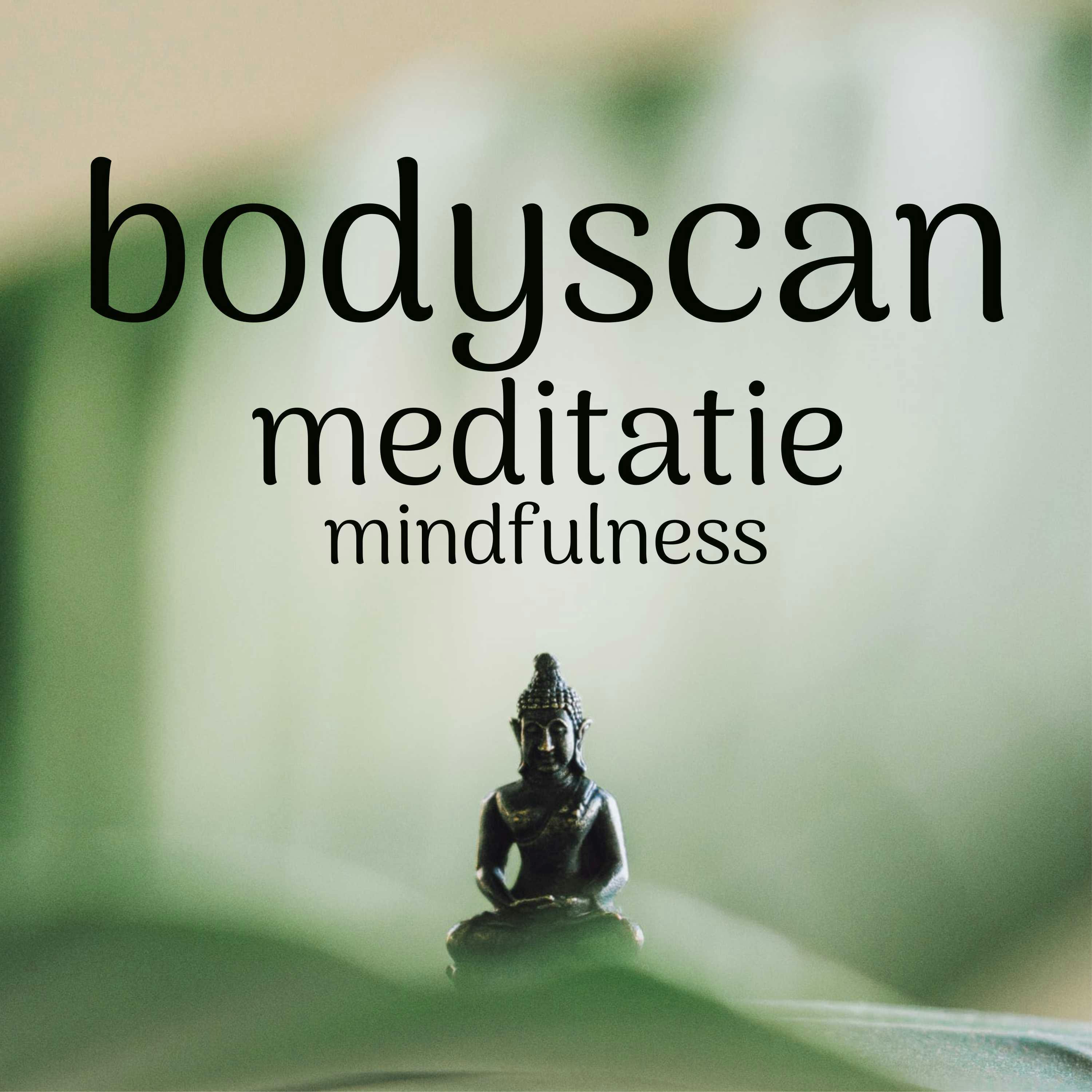 Bodyscan Meditatie Mindfulness - undefined