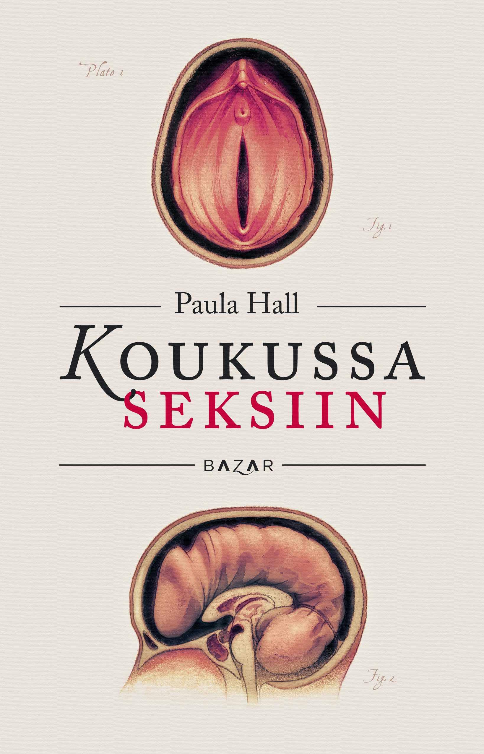 Koukussa seksiin - Paula Hall